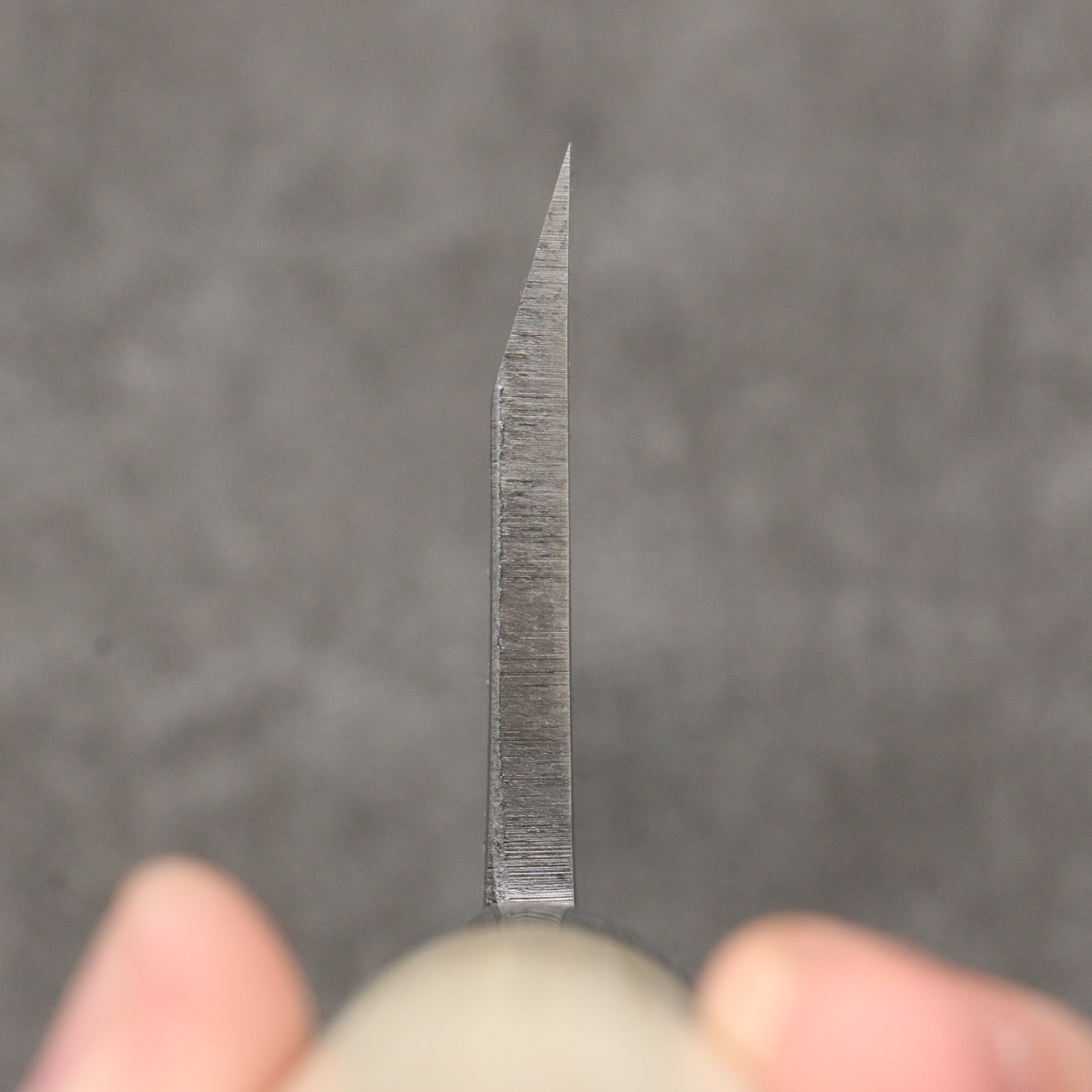 Sakai Takayuki Engraving by Kubota Nennensaisai White Steel No.2 Deba 300mm Magnolia Handle - Seisuke Knife