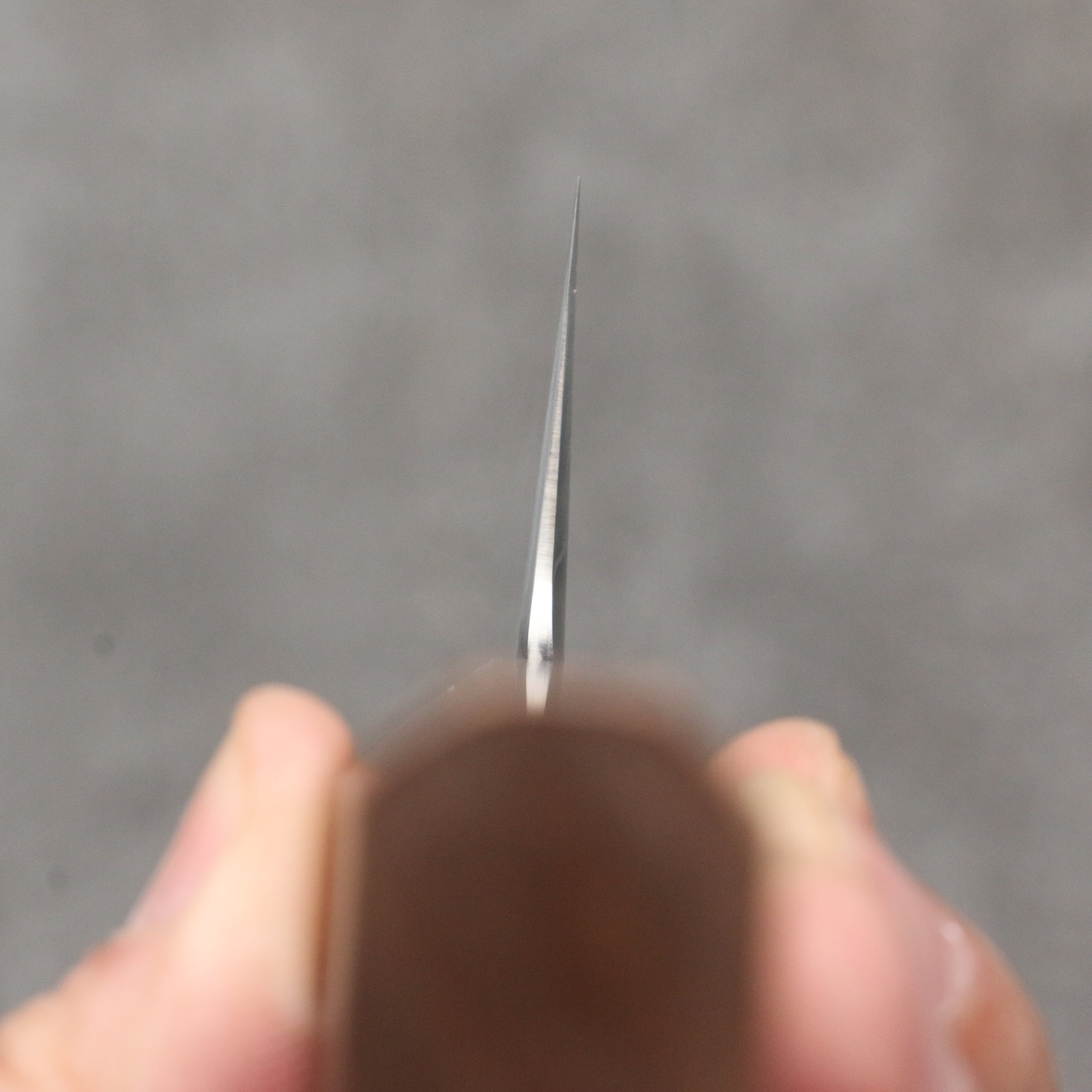 Ryusen Blazen Ryu Wa SG2 Hammered Kiritsuke Santoku 170mm Walnut Handle - Seisuke Knife