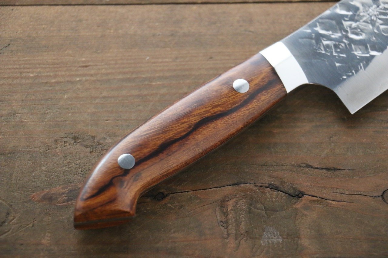 Takeshi Saji SRS13 Hammered Gyuto 210mm Ironwood Handle - Seisuke Knife