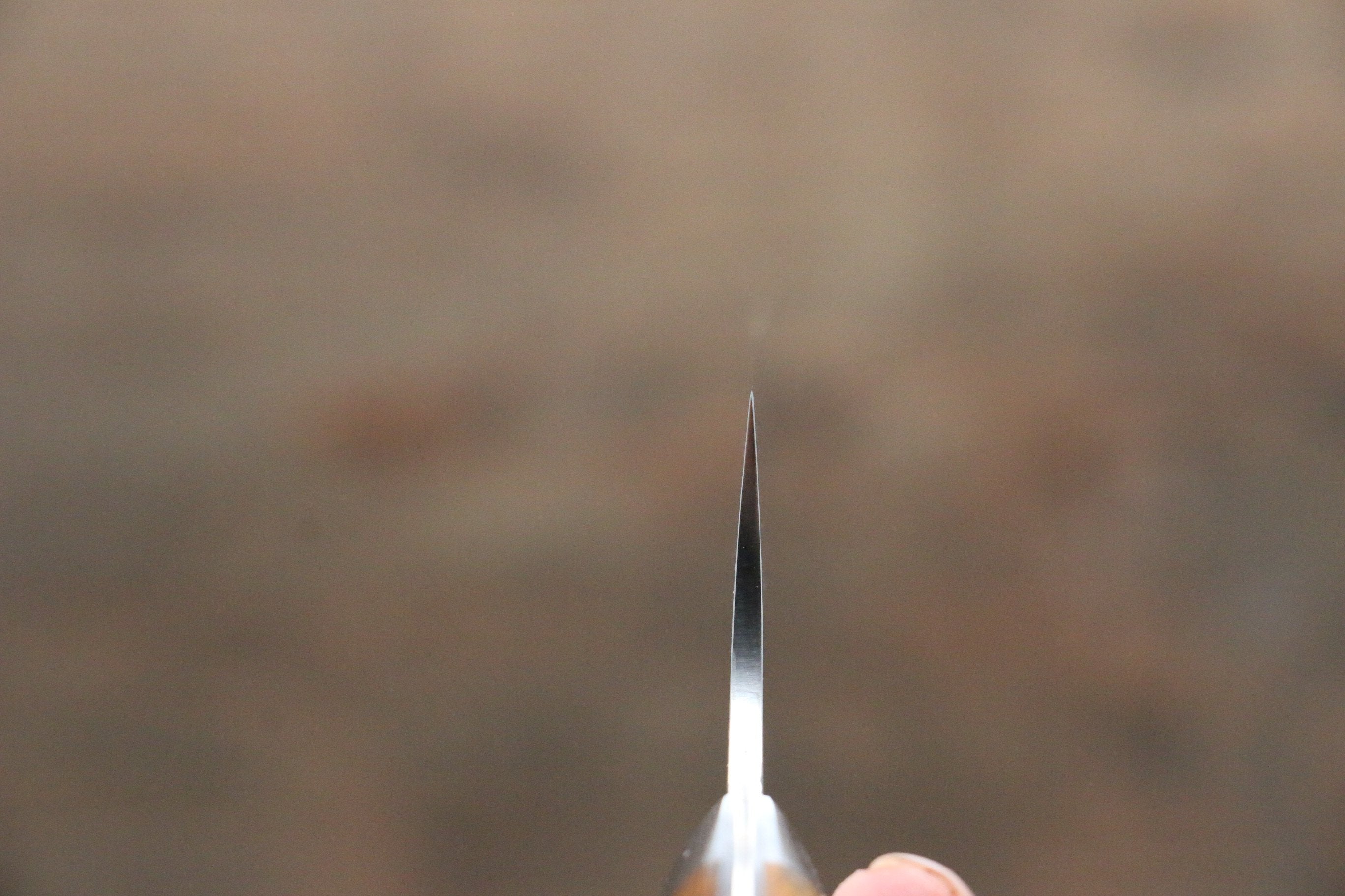 Takeshi Saji Coreless Diamond Finish Damascus Kiritsuke Gyuto 180mm Ironwood Handle - Seisuke Knife