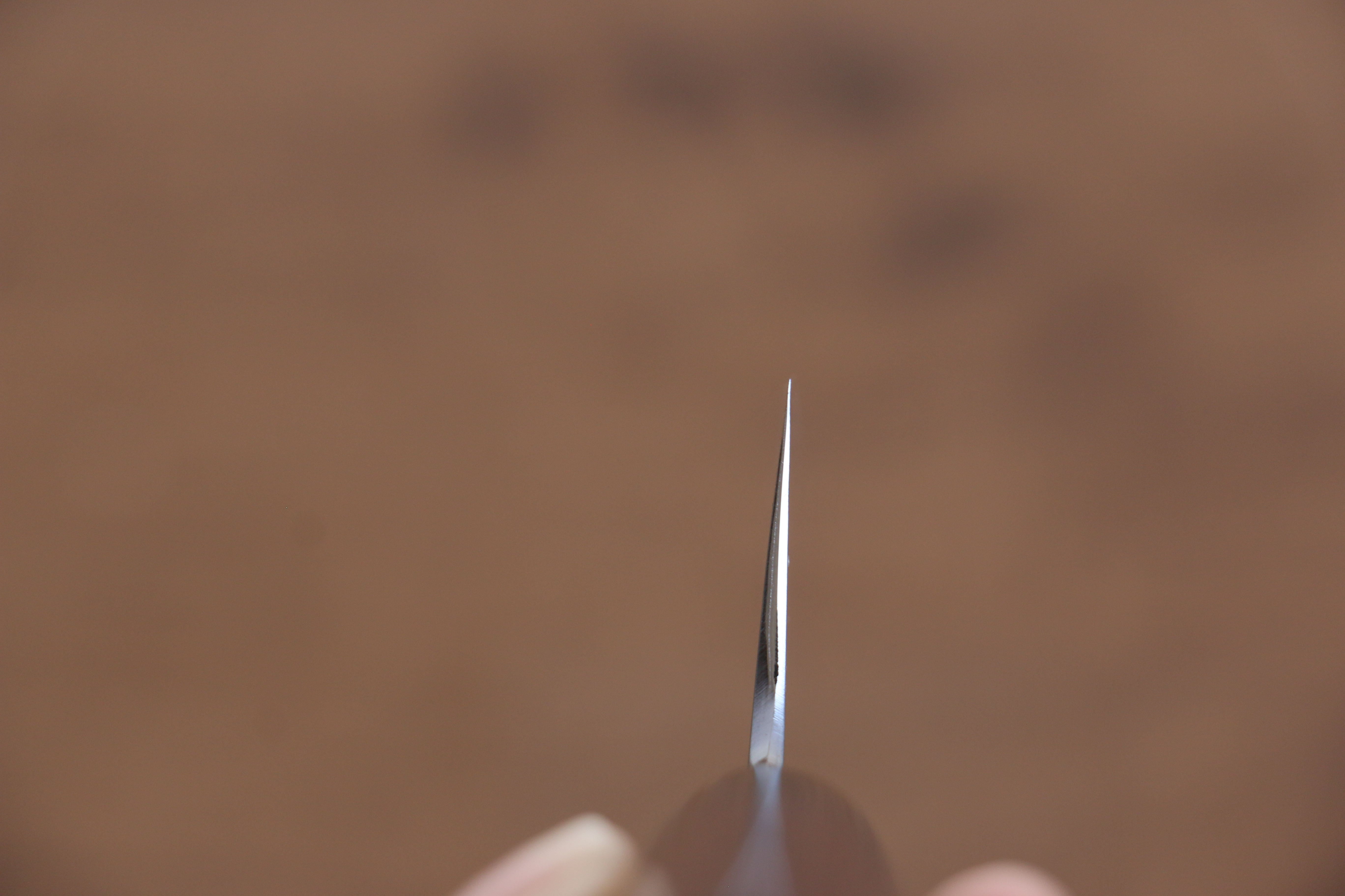 Jikko White Steel No.2 Santoku 180mm Shitan Handle - Seisuke Knife