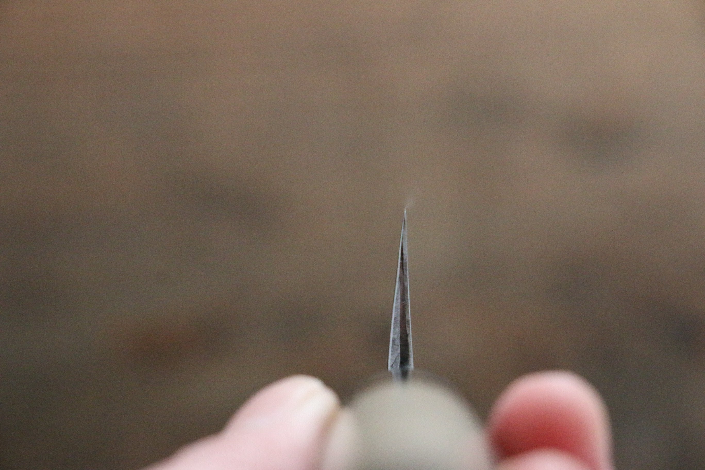 Seisuke Molybdenum Kasumitogi Yanagiba Magnolia Handle - Seisuke Knife
