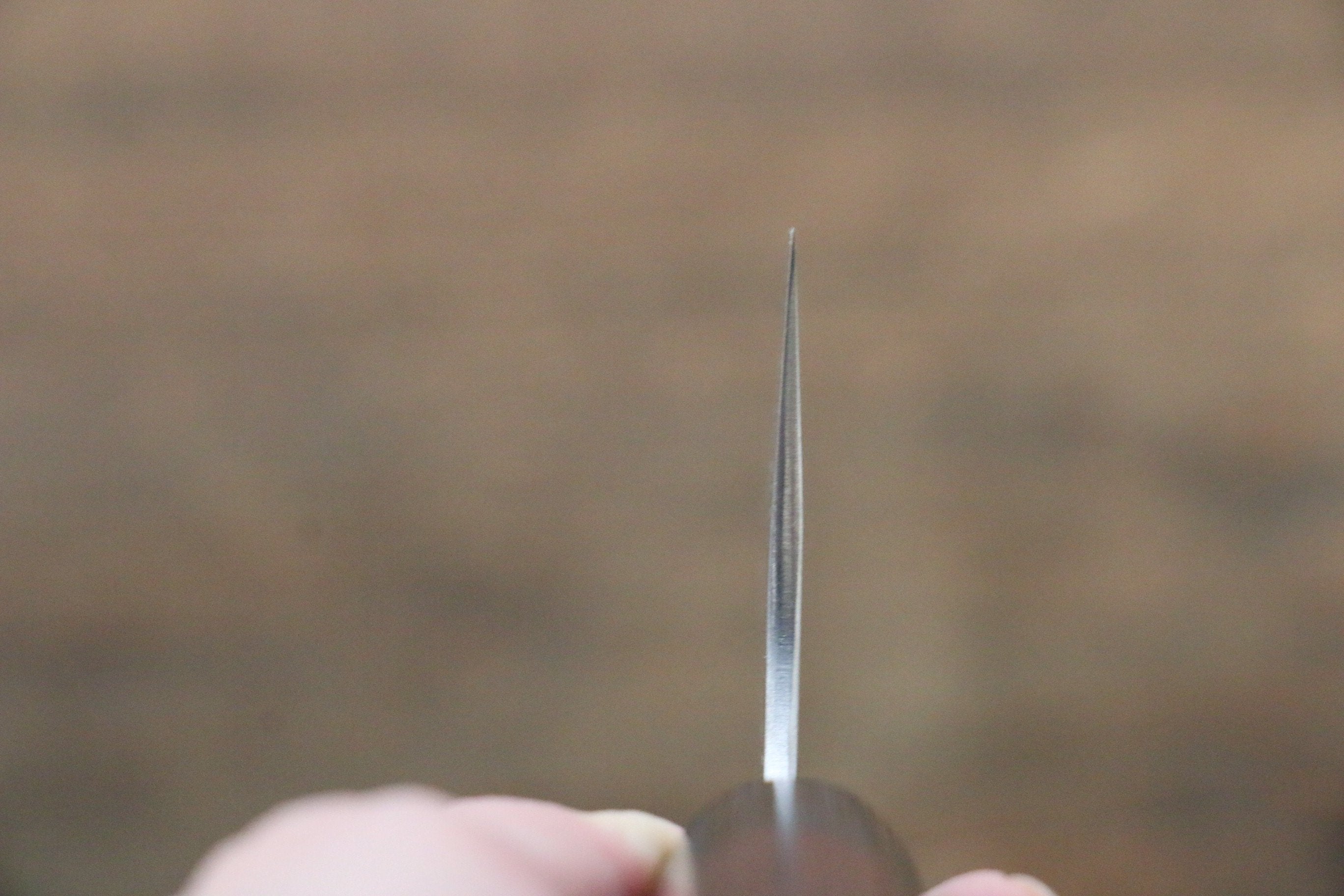 Shungo Ogata SG2 Kurouchi Black Finished Gyuto 210mm Shitan Handle - Seisuke Knife