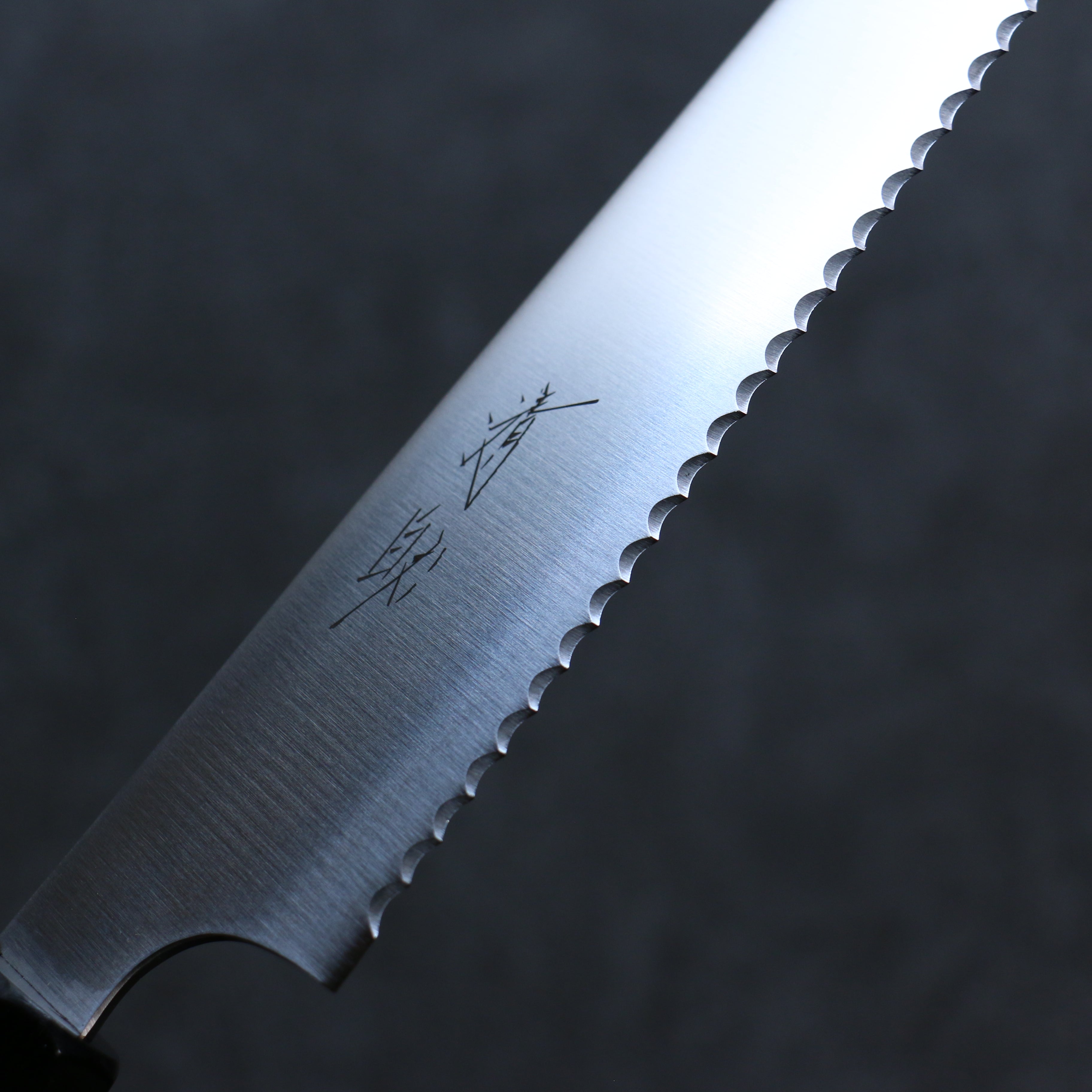 Seisuke Stainless Steel Bread Slicer 240mm Gray Pakka wood Handle - Seisuke Knife