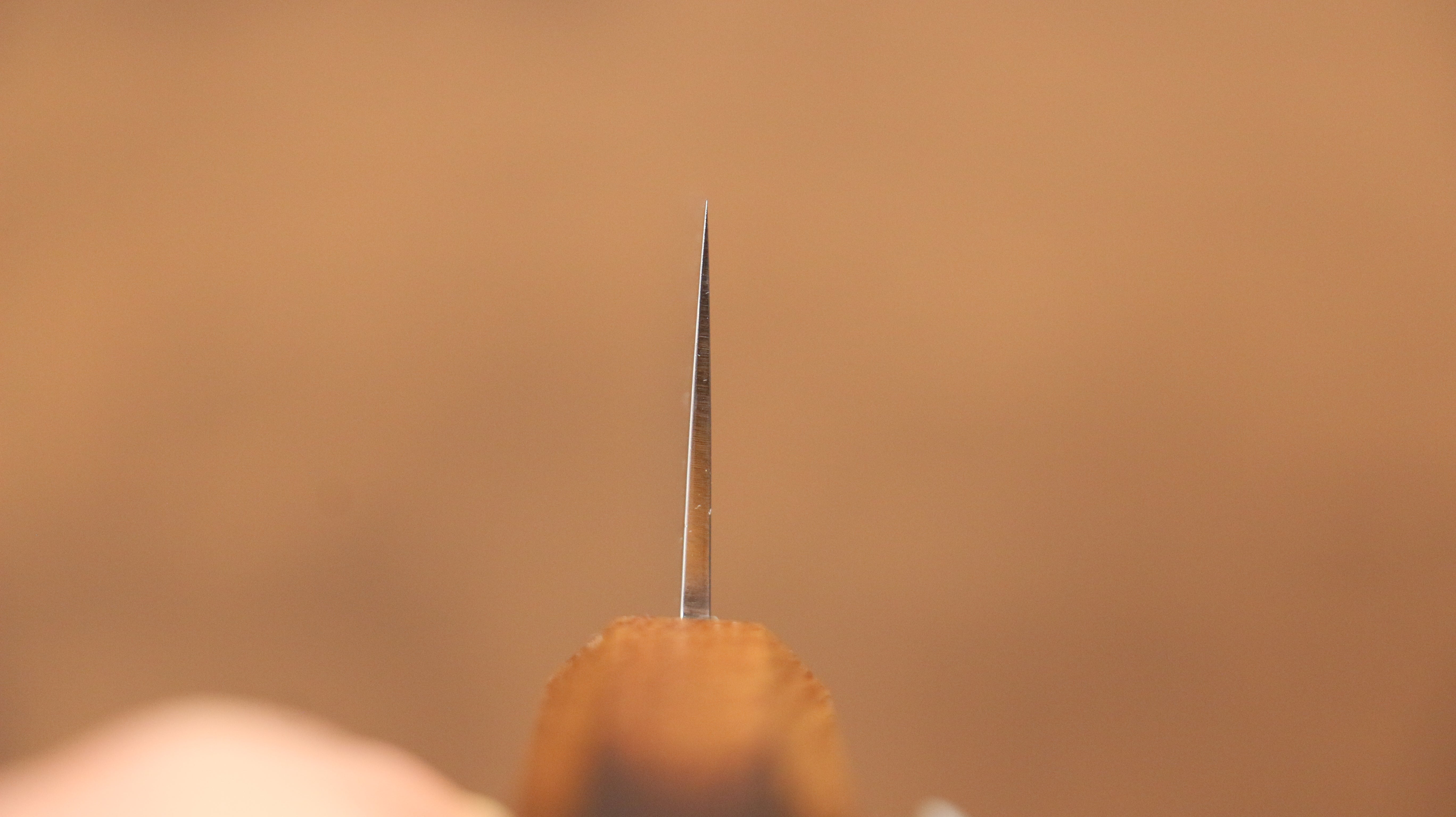 Kajin Cobalt Special Steel Damascus Gyuto 240mm Mehakkaku Burnt Oak Handle - Seisuke Knife