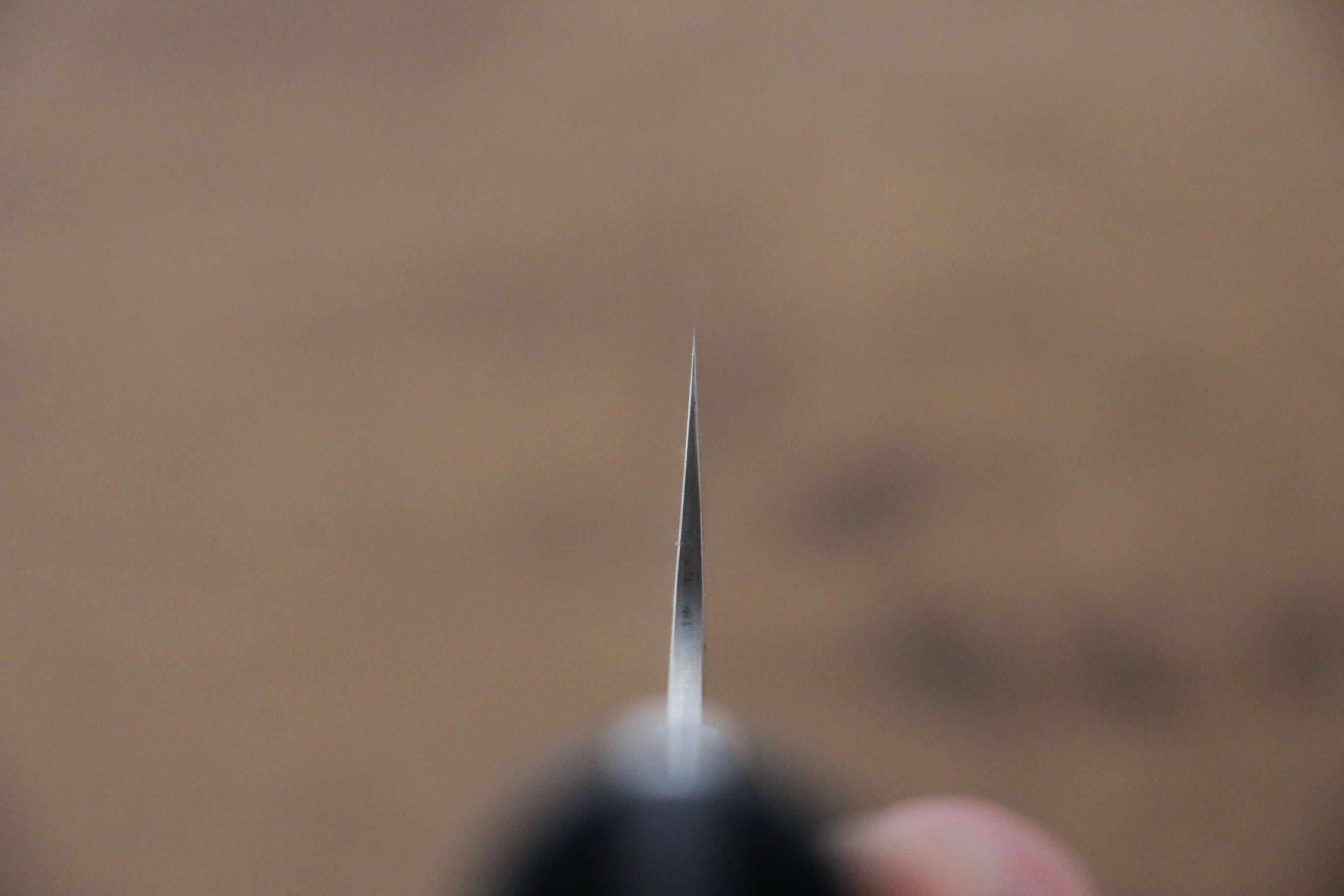 Takeshi Saji Blue Steel No.2 Colored Damascus Nakiri 165mm Black Micarta Handle - Seisuke Knife