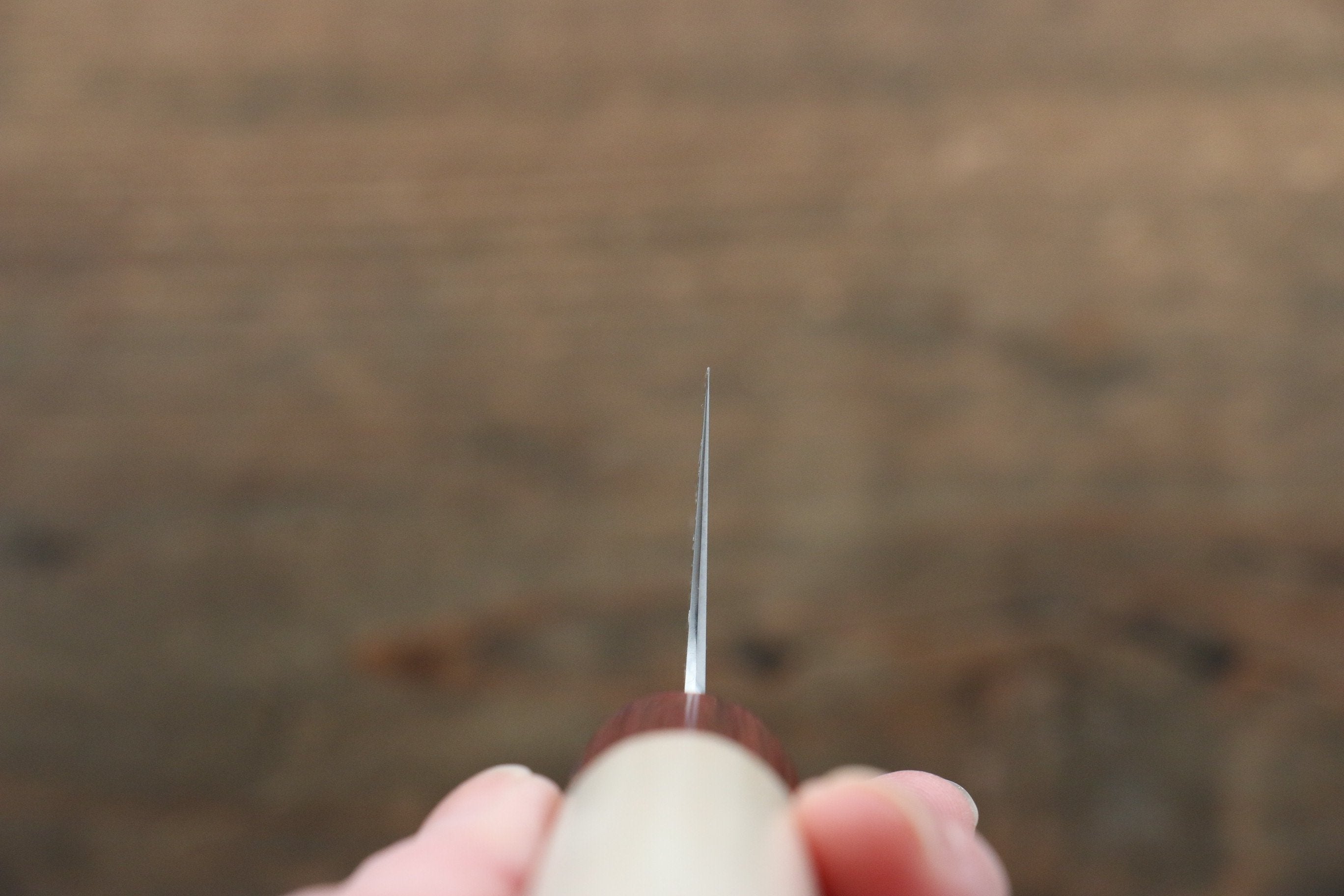 Seisuke VG10 Gyuto 210mm - Seisuke Knife