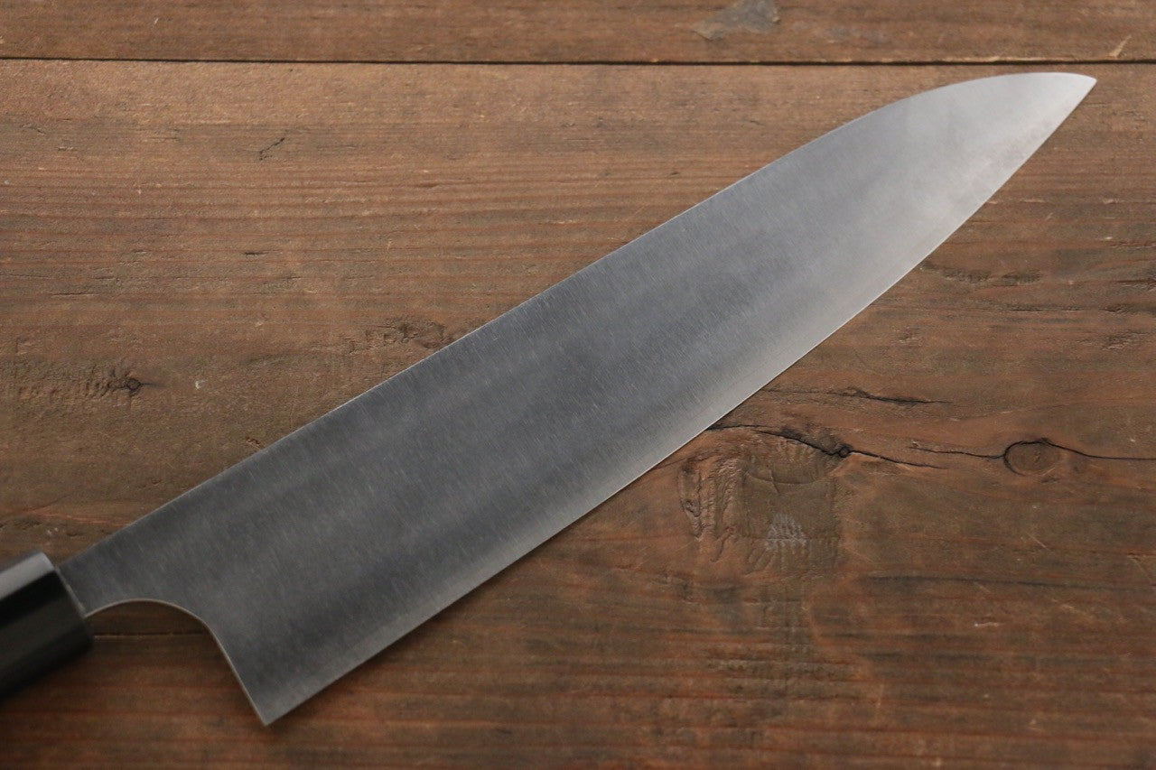 Seisuke SG2 Gyuto 240mm Shitan Handle - Seisuke Knife
