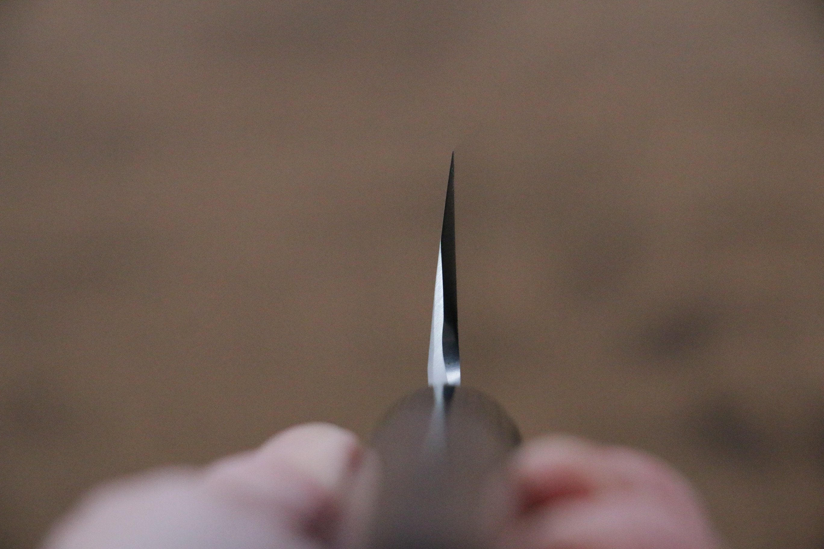 Jikko Silver Steel No.3 Kamagata Usuba 195mm Shitan Handle - Seisuke Knife