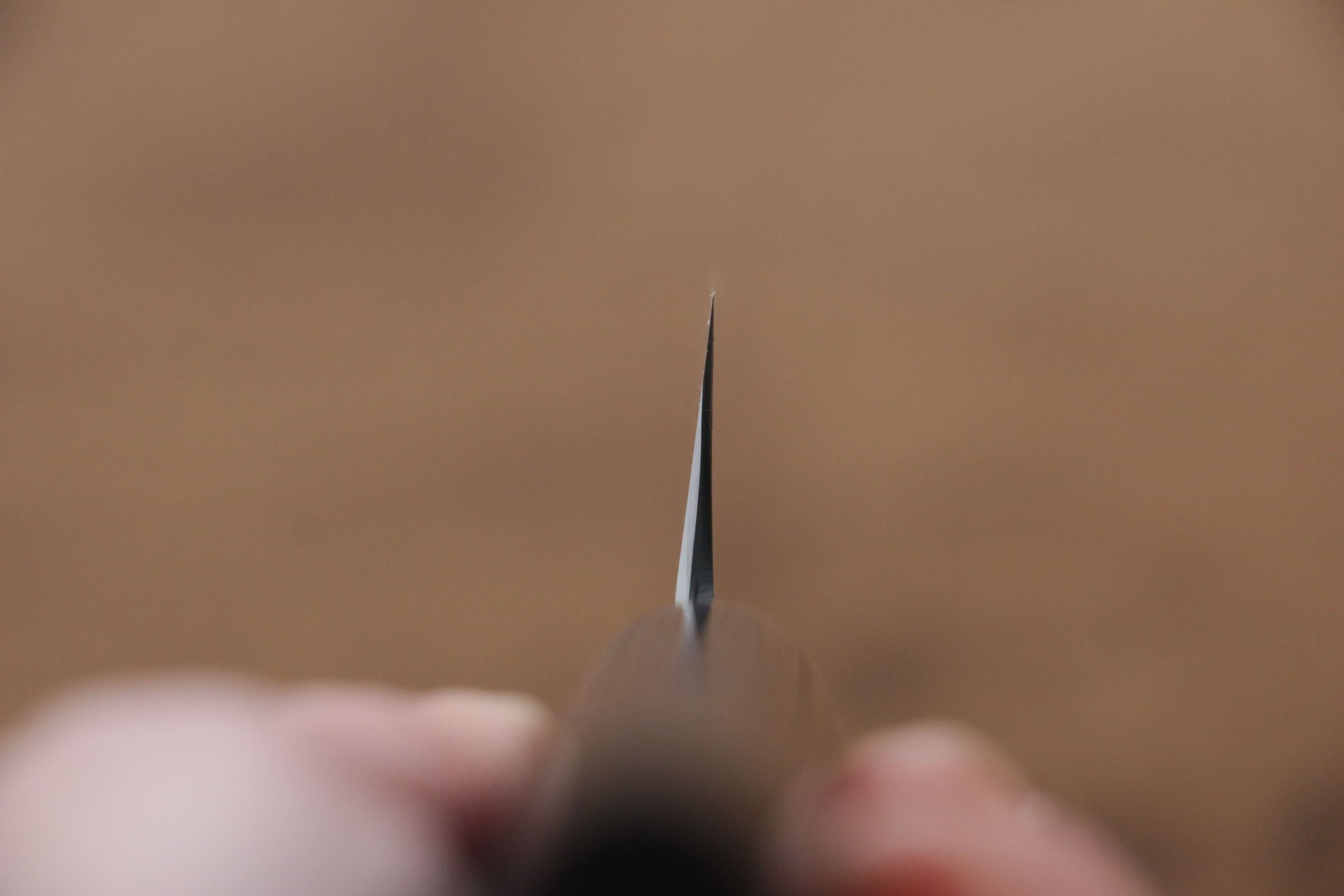 Jikko Silver Steel No.3 Usuba 165mm Shitan Handle - Seisuke Knife