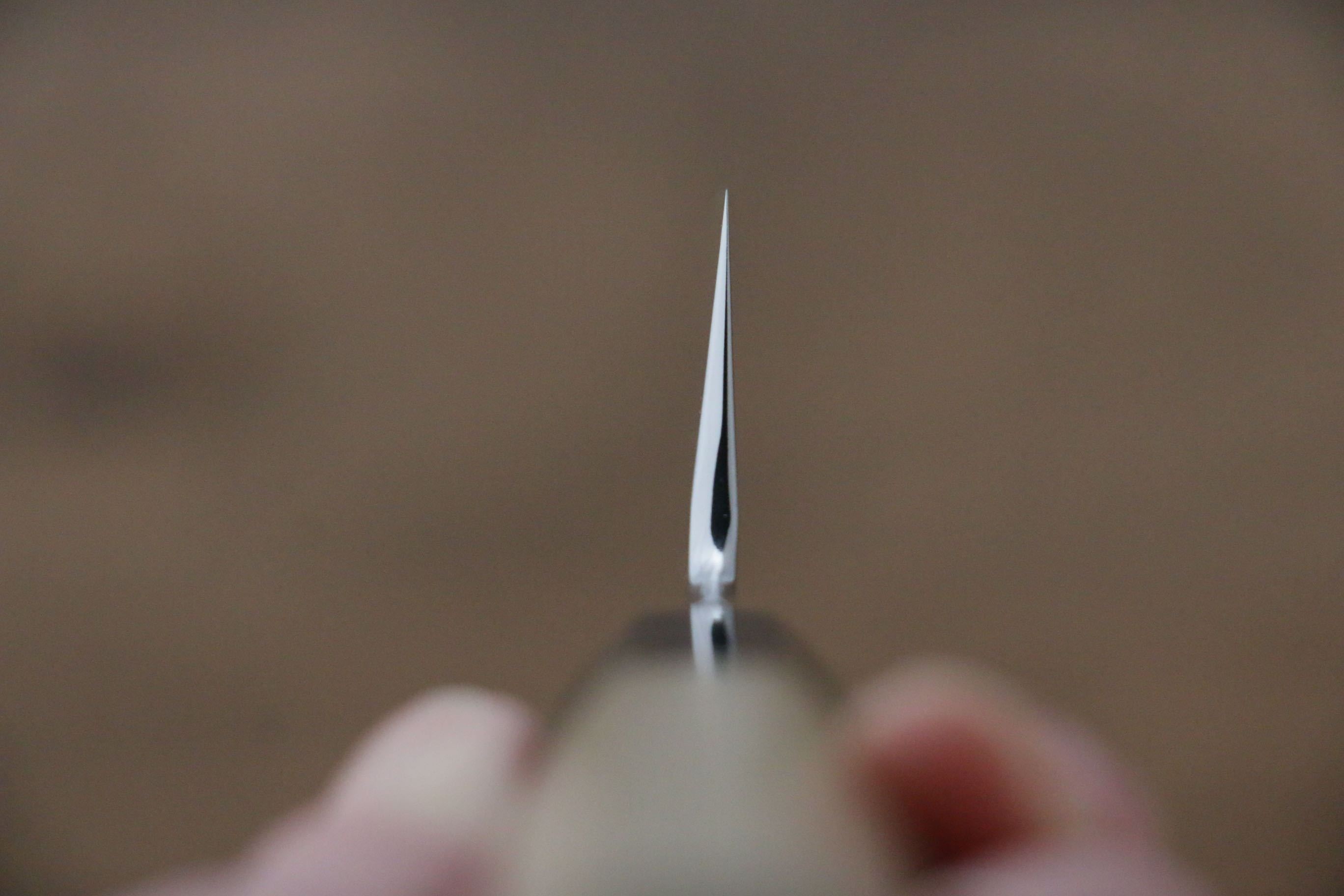 Choyo Silver Steel No.3 Mirrored Finish Gyuto 210mm with Magnolia Handle - Seisuke Knife