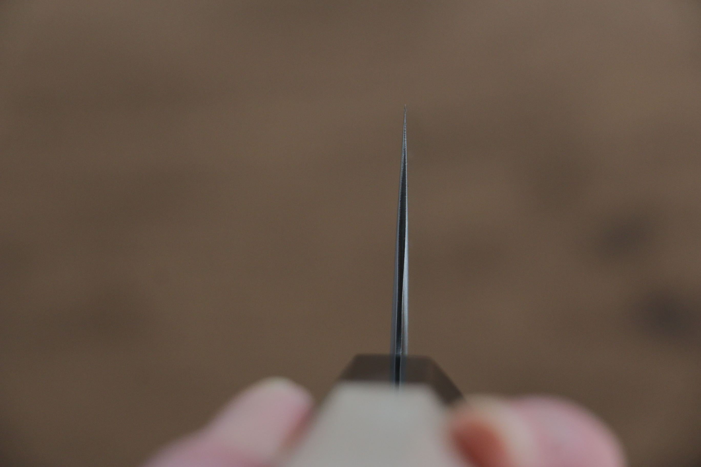 Jikko SG2 Kiritsuke Gyuto 230mm Magnolia Handle - Seisuke Knife