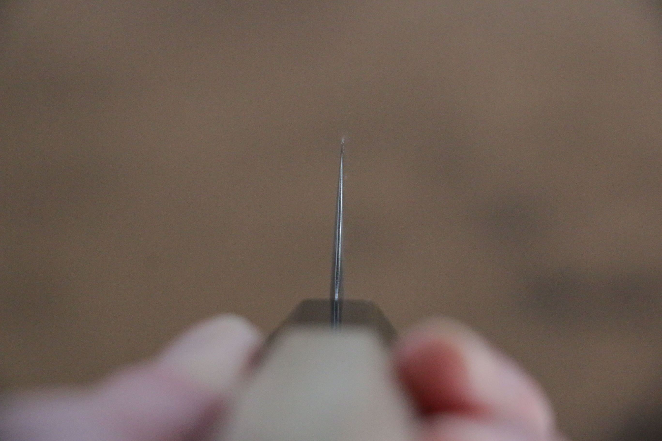 Jikko SG2 Kiritsuke Sujihiki 230mm Magnolia Handle - Seisuke Knife