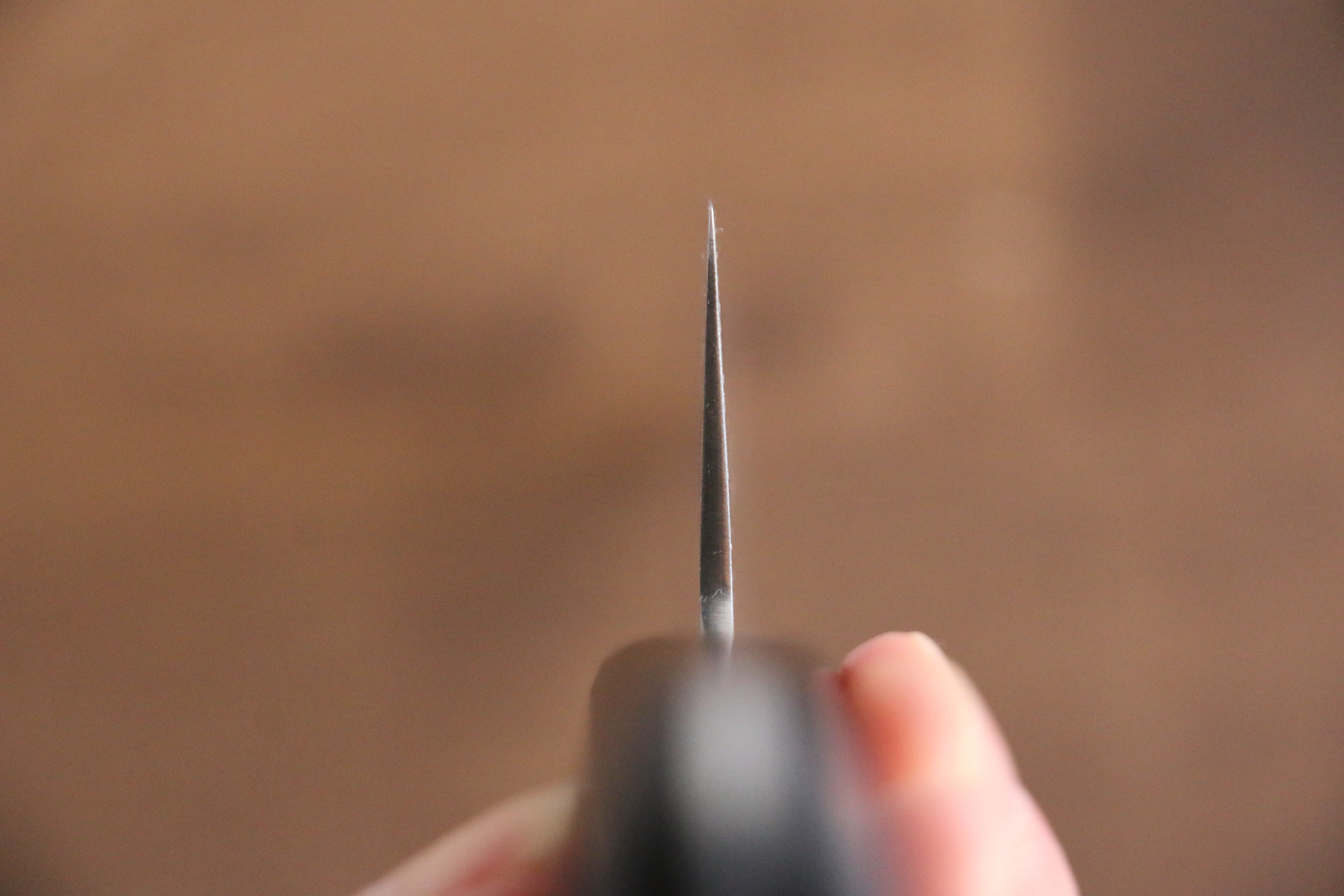 Seisuke Budou Silver Steel No.3 Nashiji Gyuto 210mm Purple Pakka wood Handle - Seisuke Knife