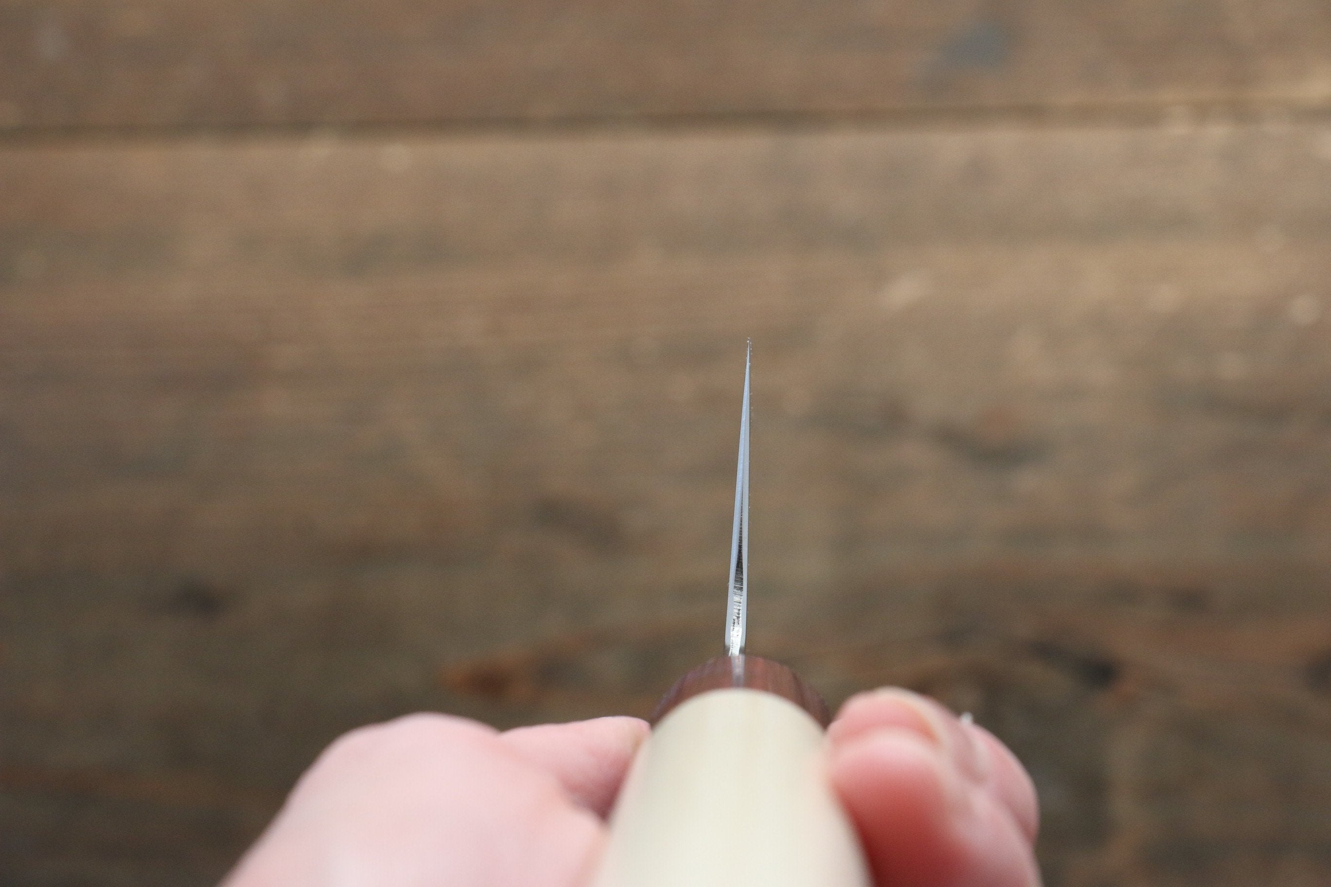 Seisuke VG10 Gyuto 240mm - Seisuke Knife