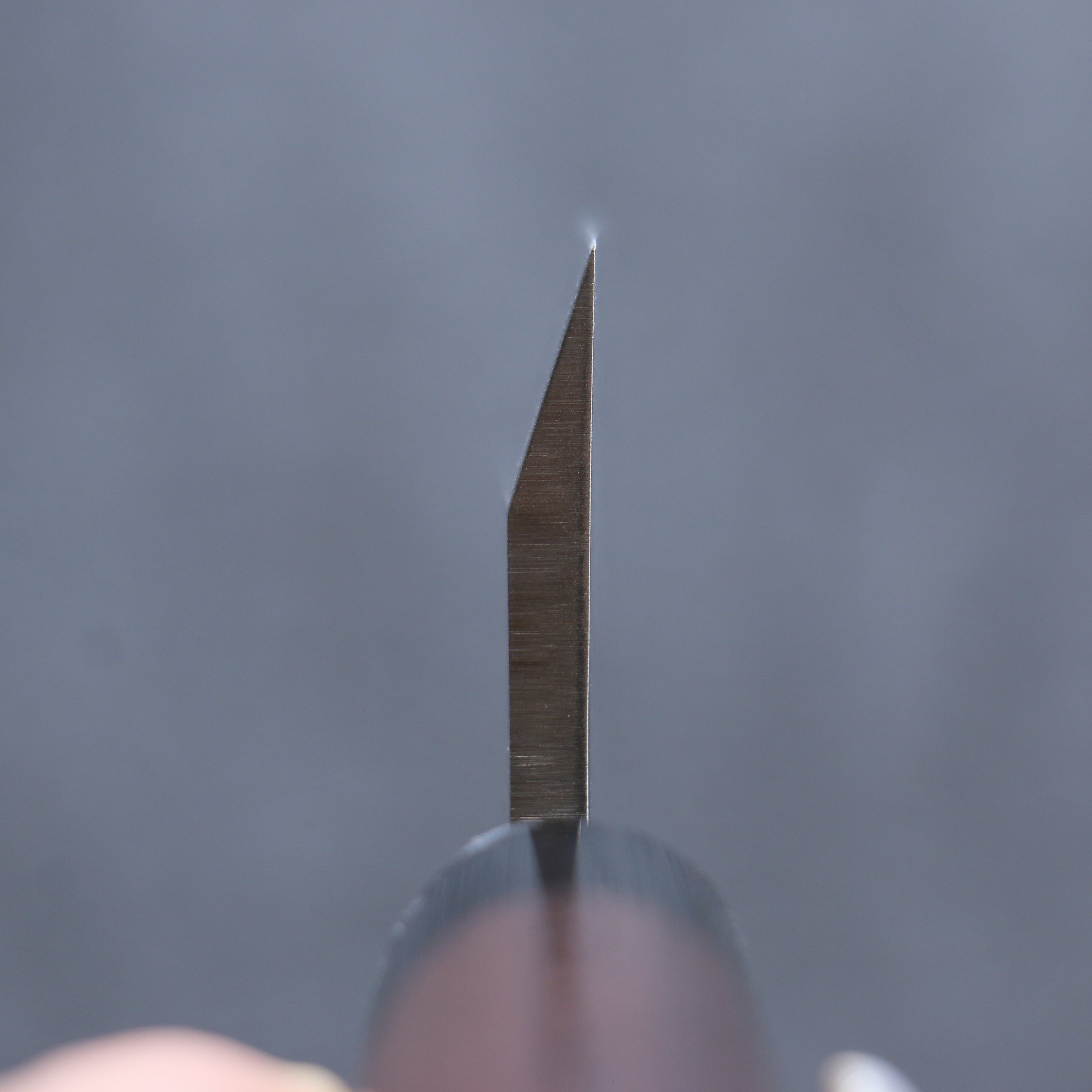 Seisuke VG1 Kasumitogi Deba 150mm Rosewood Handle - Seisuke Knife