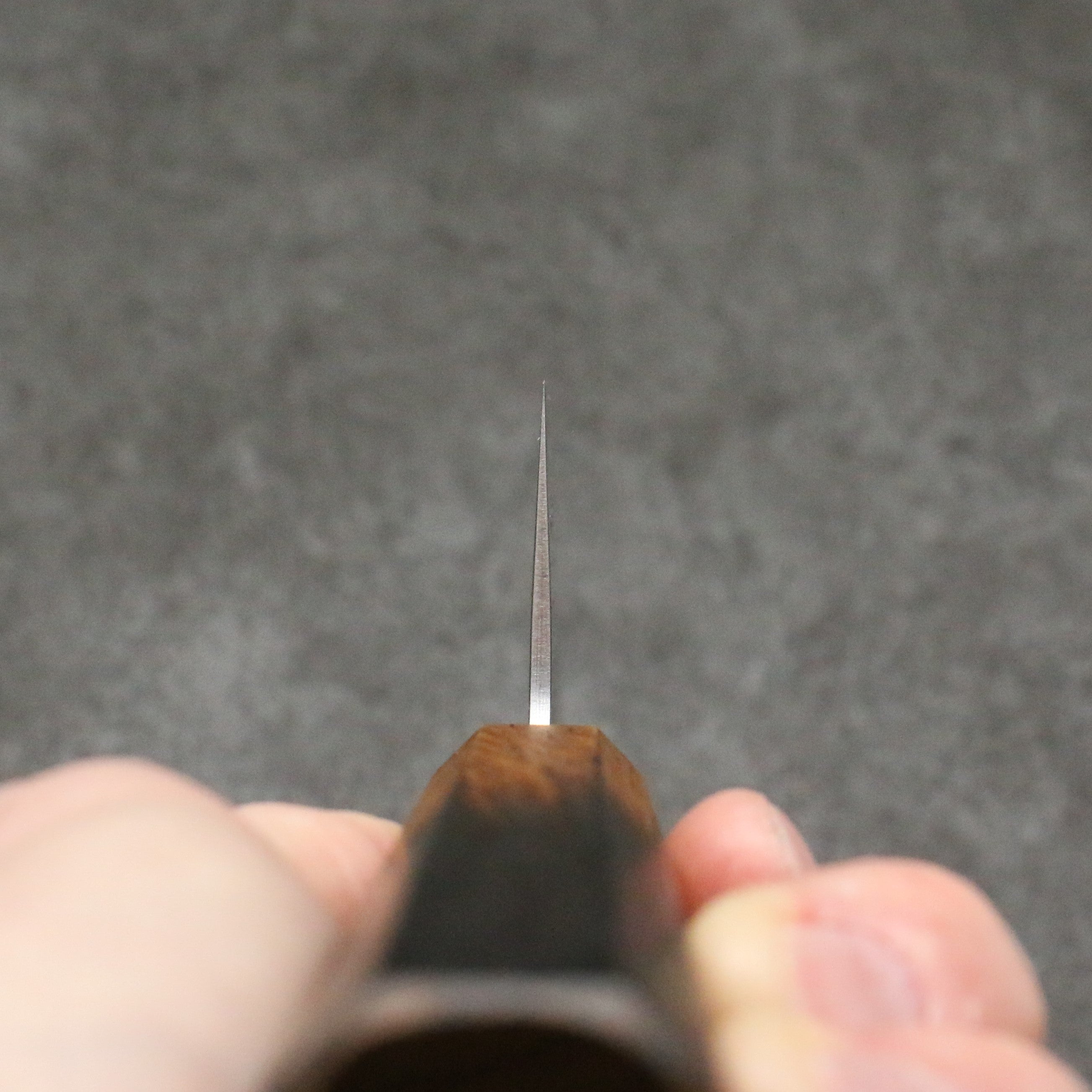 Seisuke SLD Washiji Gyuto 240mm Burnt Oak Handle - Seisuke Knife