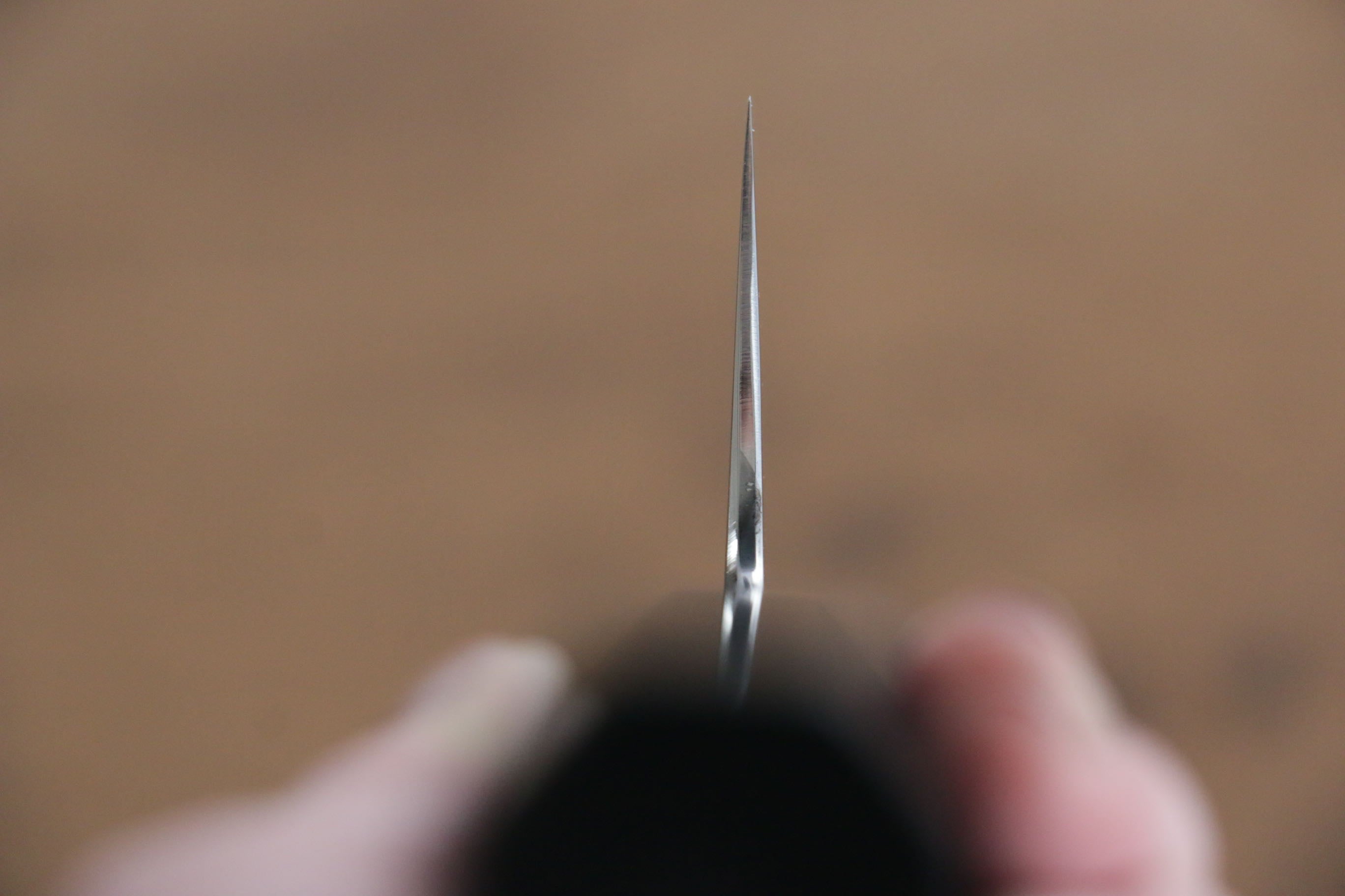 Jikko Fujisan Honyaki White Steel No.3 Gyuto 240mm Ebony Wood Handle Kasumi - Seisuke Knife