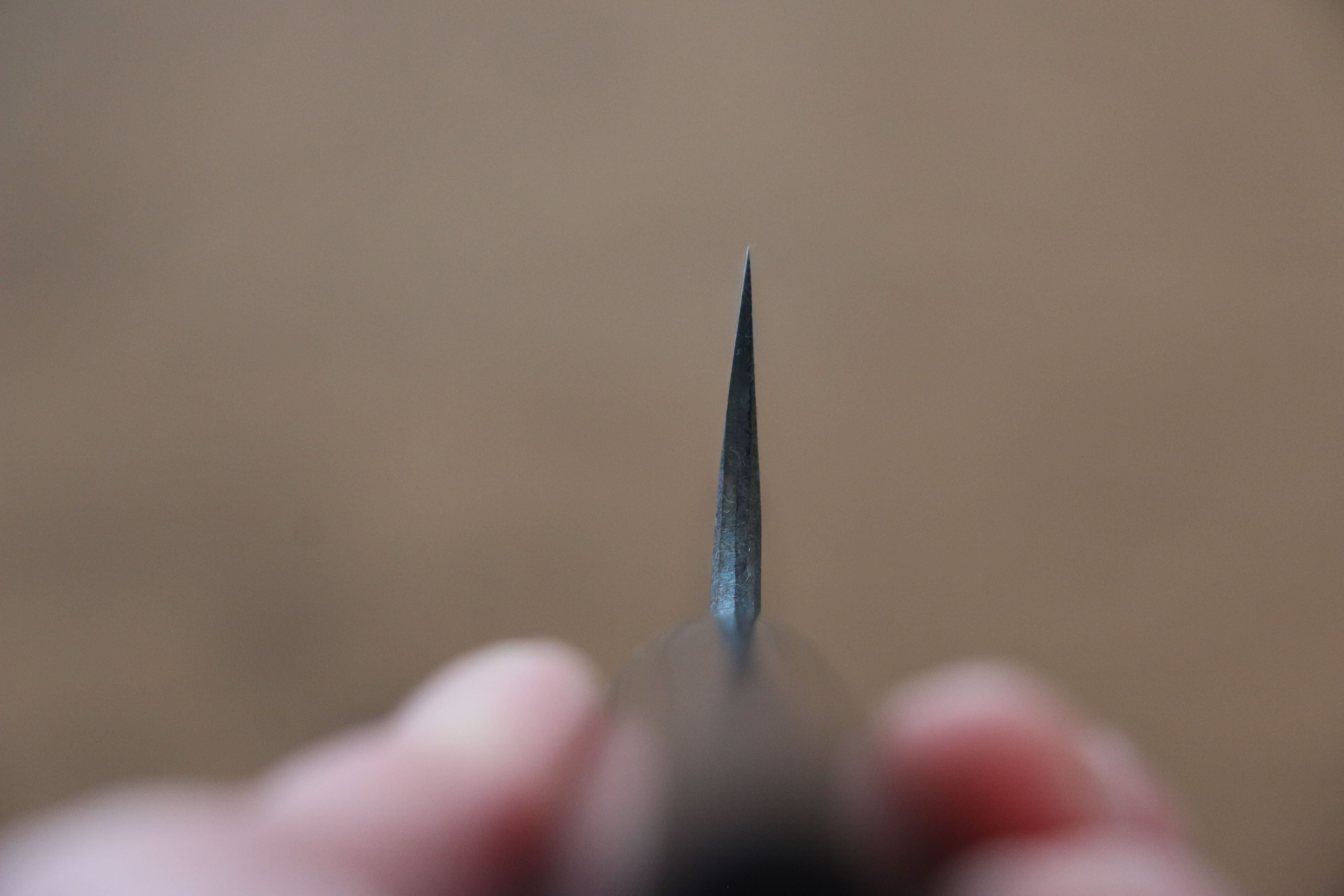 Anryu Blue Super Hammered Black Finished Sujihiki 270mm Shitan Handle - Seisuke Knife