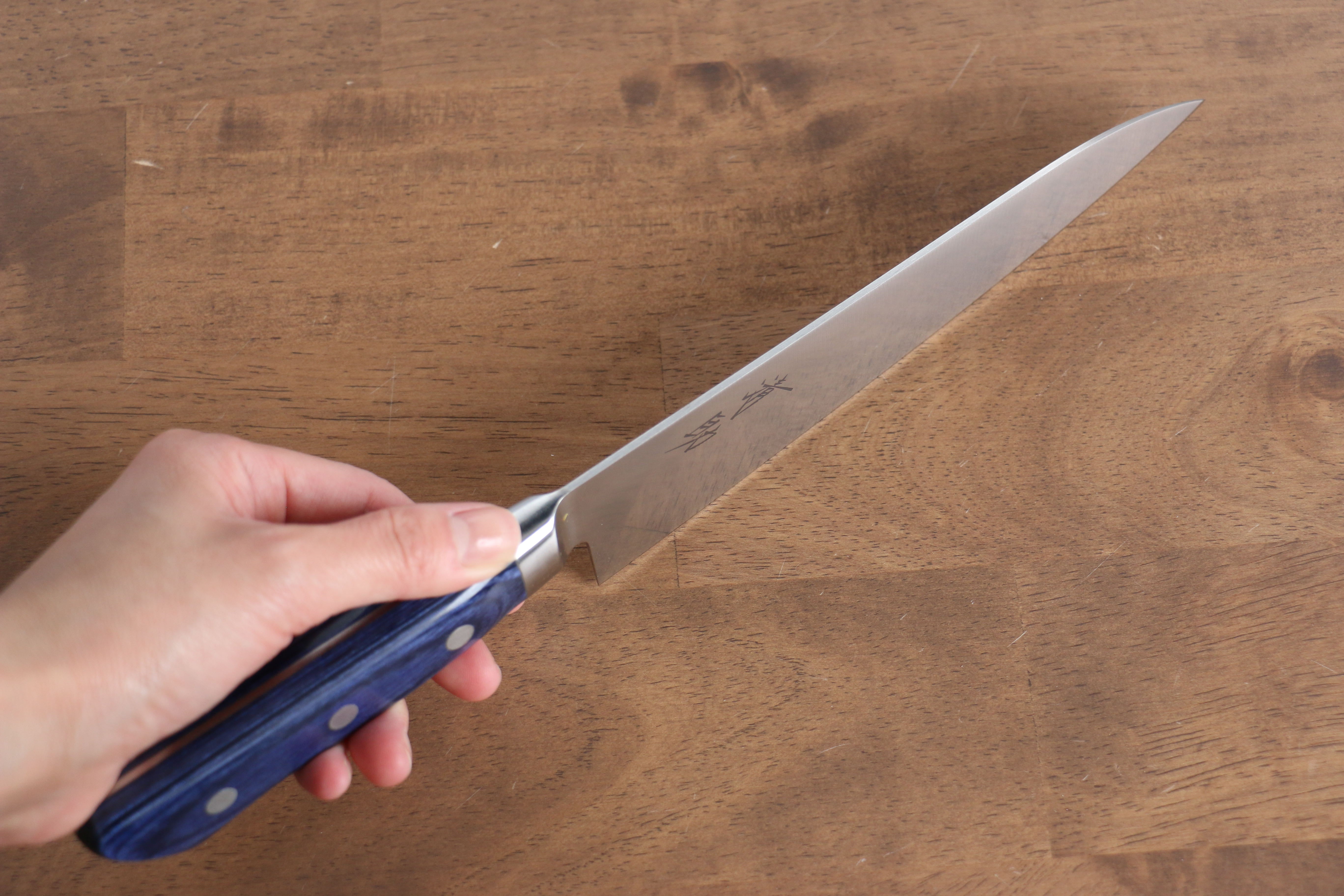 Seisuke Seiten Molybdenum Gyuto 180mm Blue Pakka wood Handle - Seisuke Knife