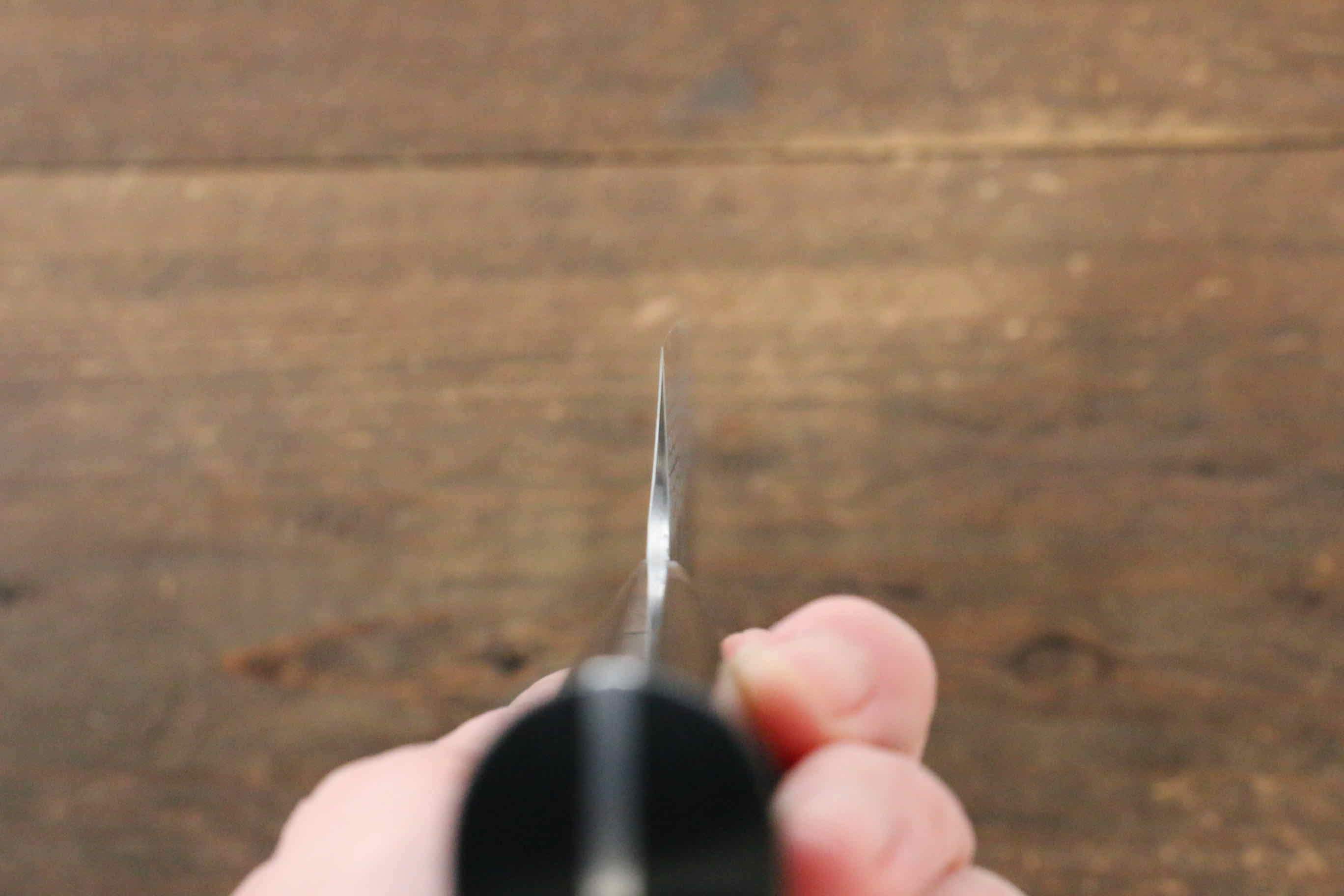 Takeshi Saji Blue Super Kurouchi Hammered Gyuto 240mm Black Micarta Handle - Seisuke Knife