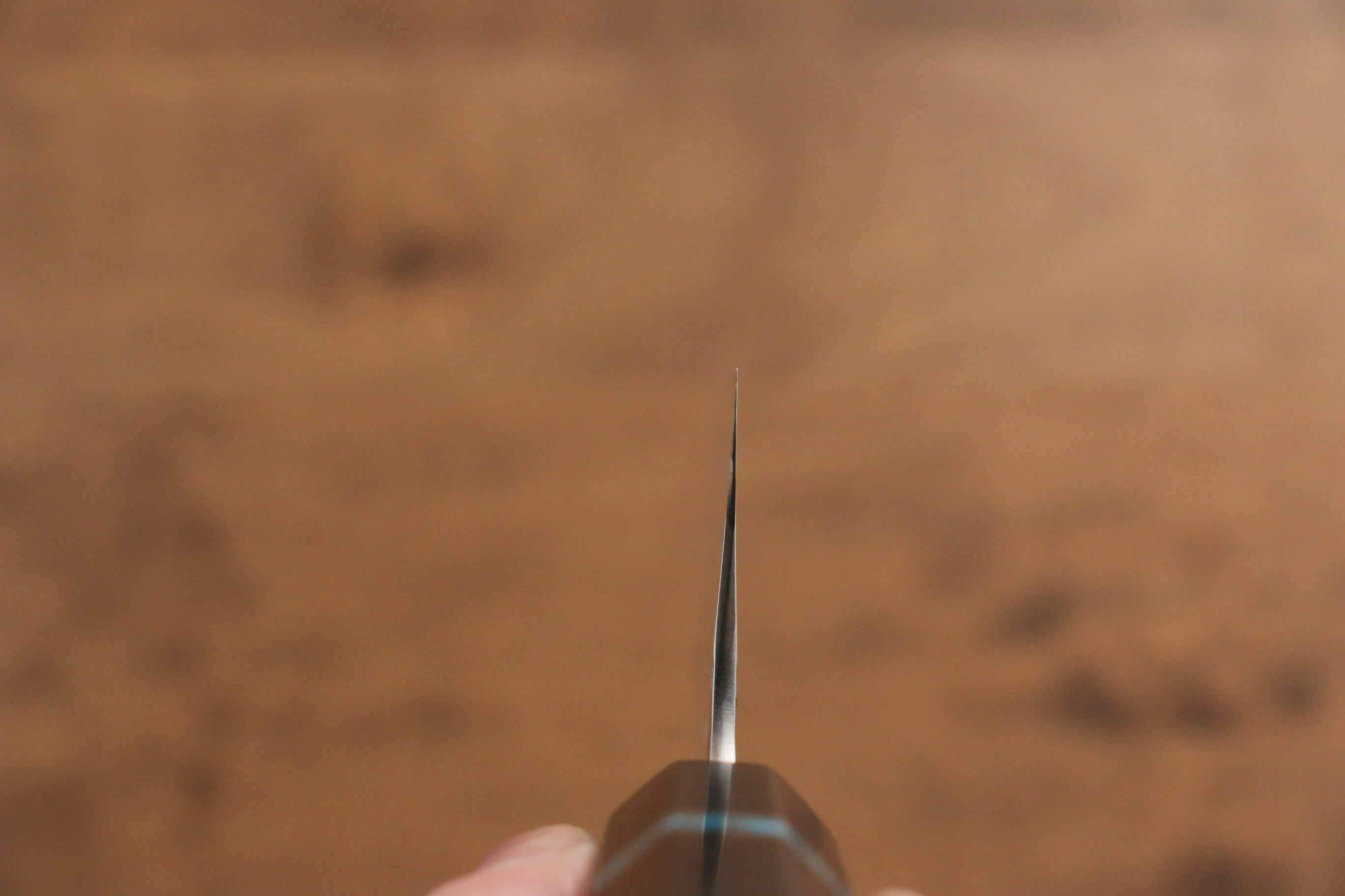 Yu Kurosaki Fujin VG10 Hammered Gyuto 240mm Ebony Wood(With Turquoise Ring) Handle - Seisuke Knife