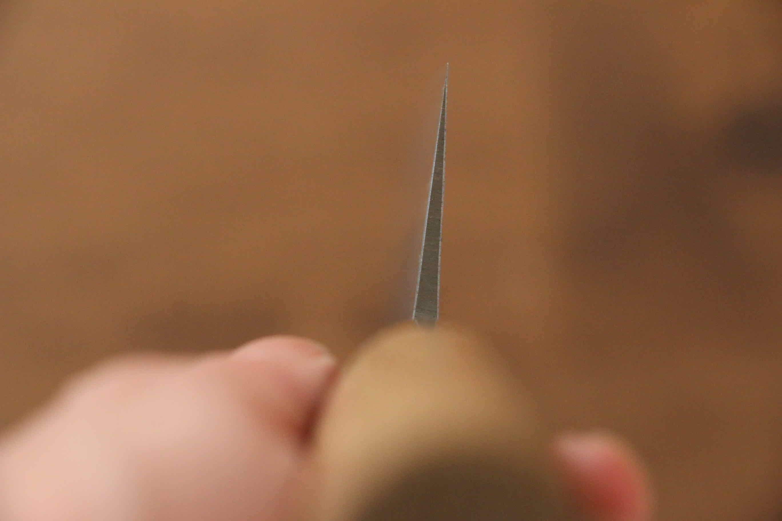 Seisuke Blue Steel No.2 Nashiji Gyuto 180mm Chestnut Handle - Seisuke Knife