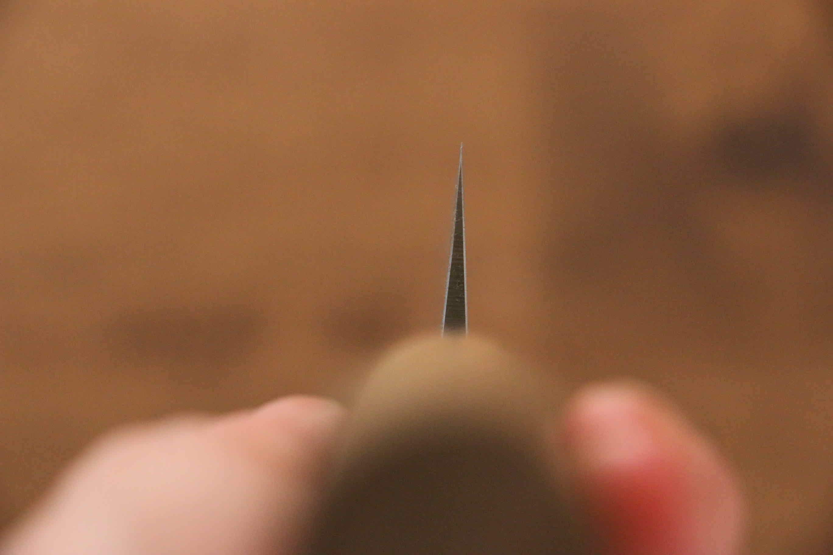 Seisuke Blue Steel No.2 Nashiji Sujihiki 240mm Chestnut Handle - Seisuke Knife