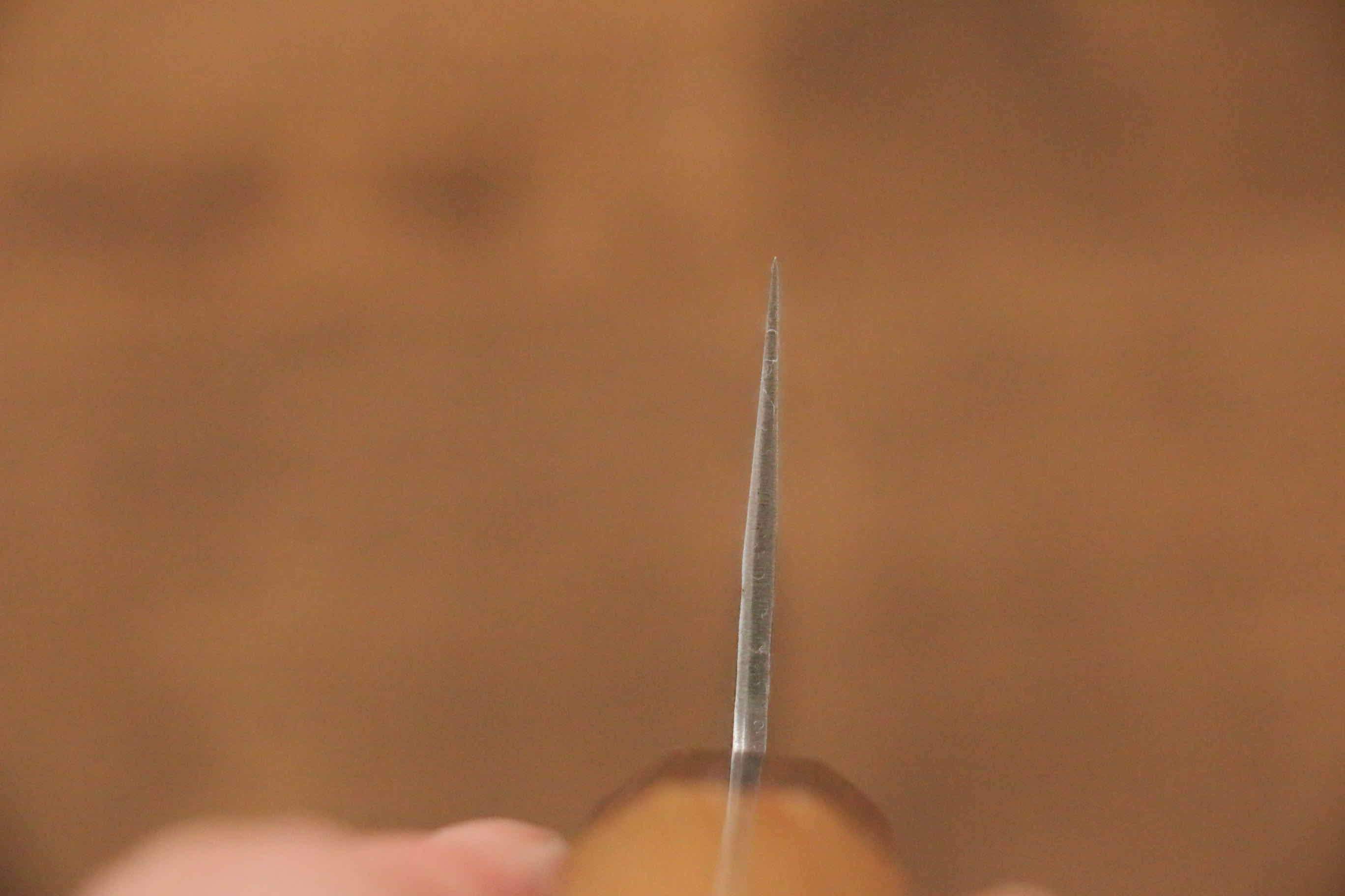 Sakai Takayuki Blue Super Hammered Black Finished Gyuto 210mm - Seisuke Knife