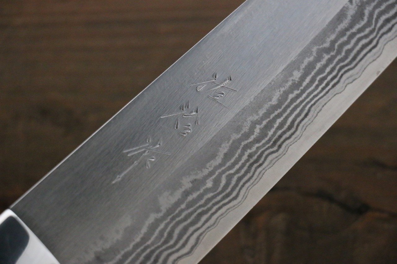 Takeshi Saji Blue Super Gyuto 210mm Black Micarta Handle - Seisuke Knife