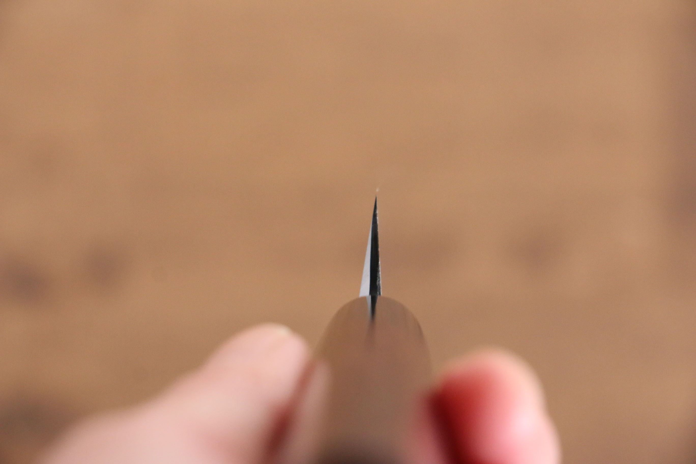 Jikko White Steel No.2 Kiritsuke Yanagiba 210mm Shitan Handle - Seisuke Knife