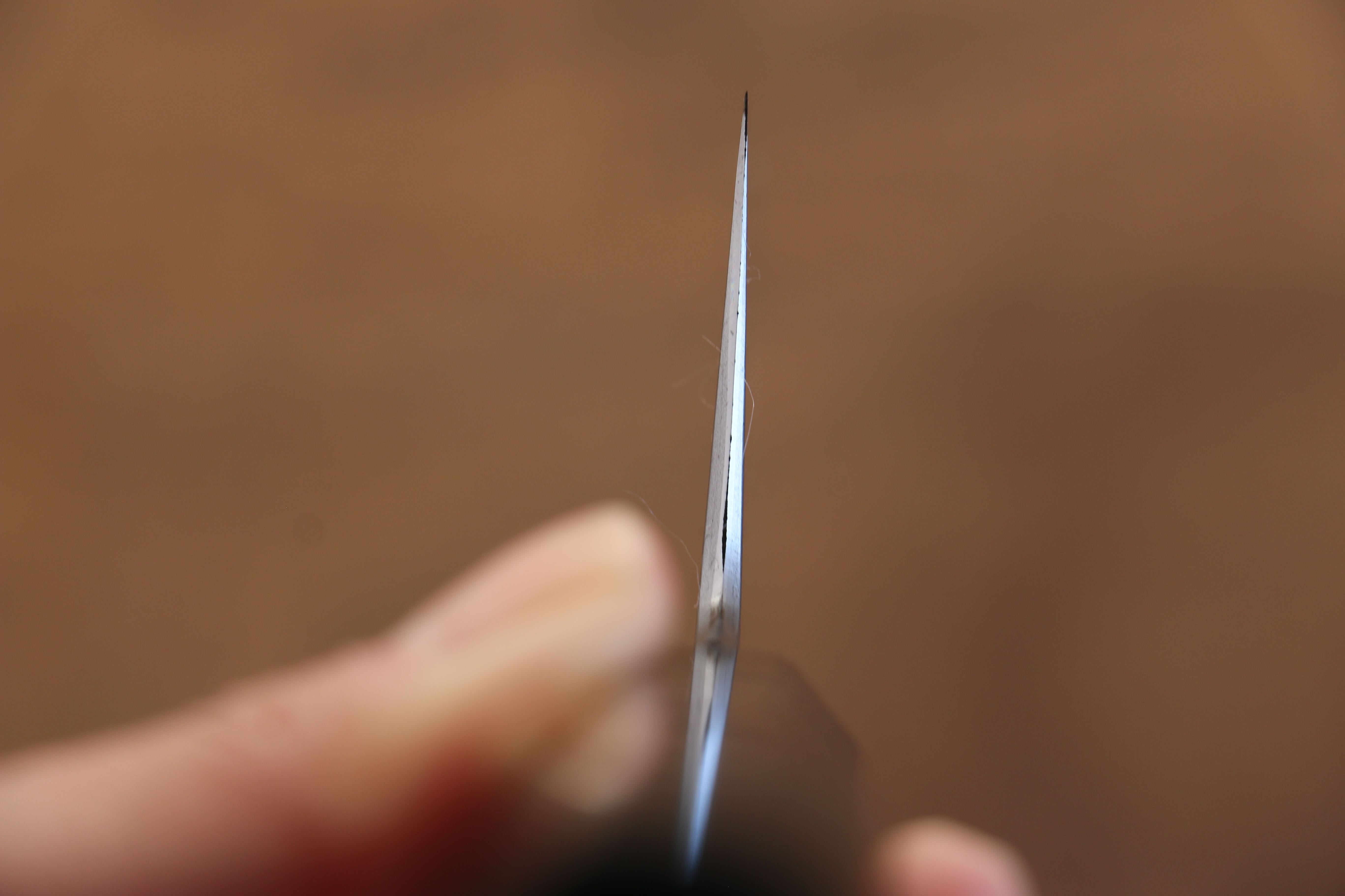 Jikko Blue Steel Damascus Gyuto 210mm Ebony with Double Ring Handle - Seisuke Knife