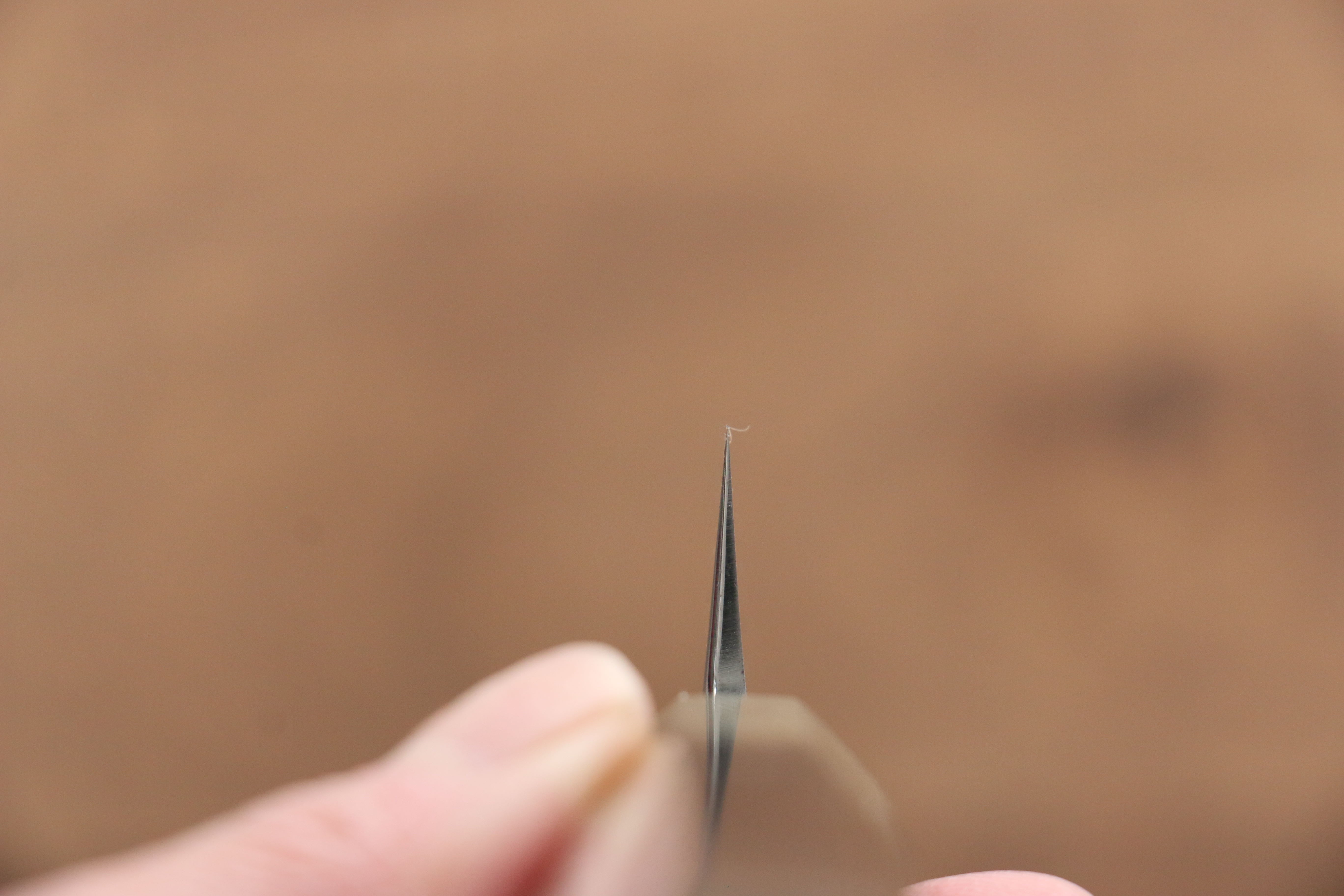 Jikko Shiko White Steel Sakimaru Yanagiba 240mm Ebony with Double Ring Handle - Seisuke Knife