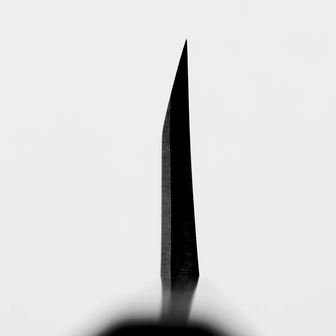 Single Bevel Knife Sharpening Class - Seisuke Knife