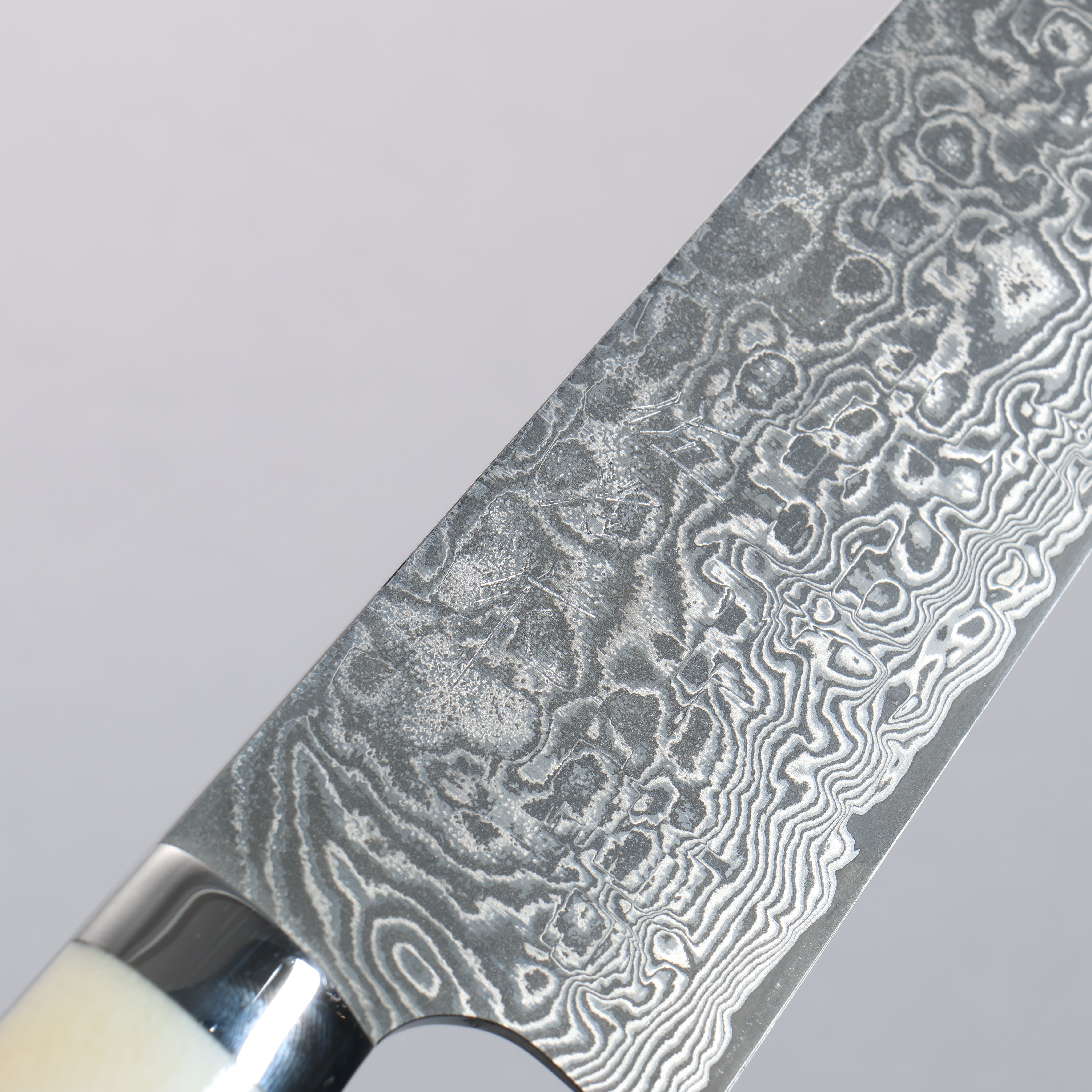 Takeshi Saji SG2 Black Damascus Bunka  180mm White Cow Bone Handle - Seisuke Knife