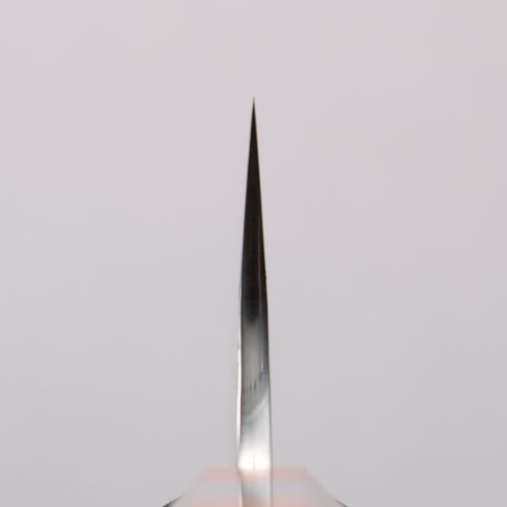 Yu Kurosaki Shizuku SG2 Hammered Gyuto  240mm Chinese Quince Burl (Turquoise Ring) Handle - Seisuke Knife