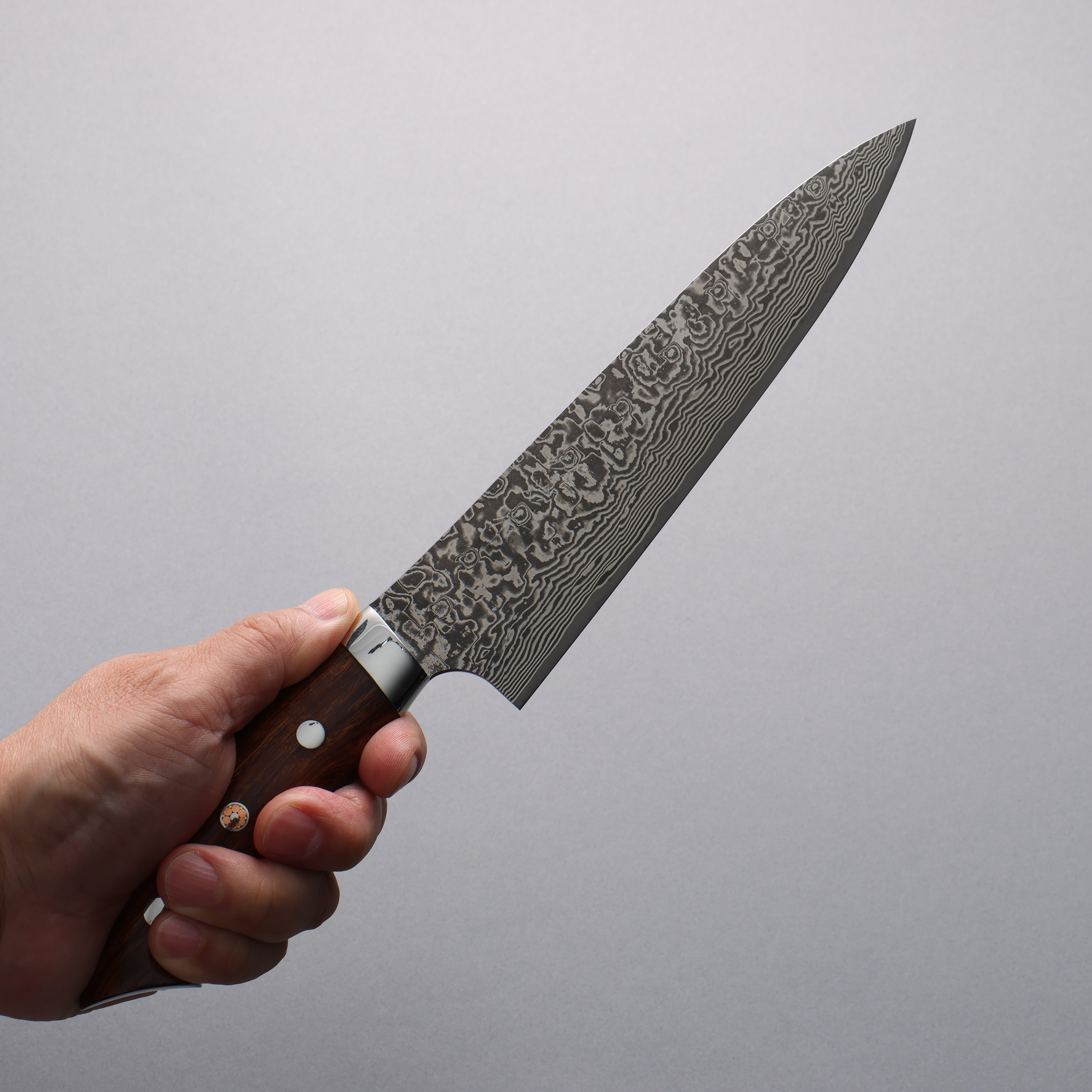 Takeshi Saji SG2 Black Damascus Gyuto  180mm Ironwood(New Nomura Style) Handle - Seisuke Knife