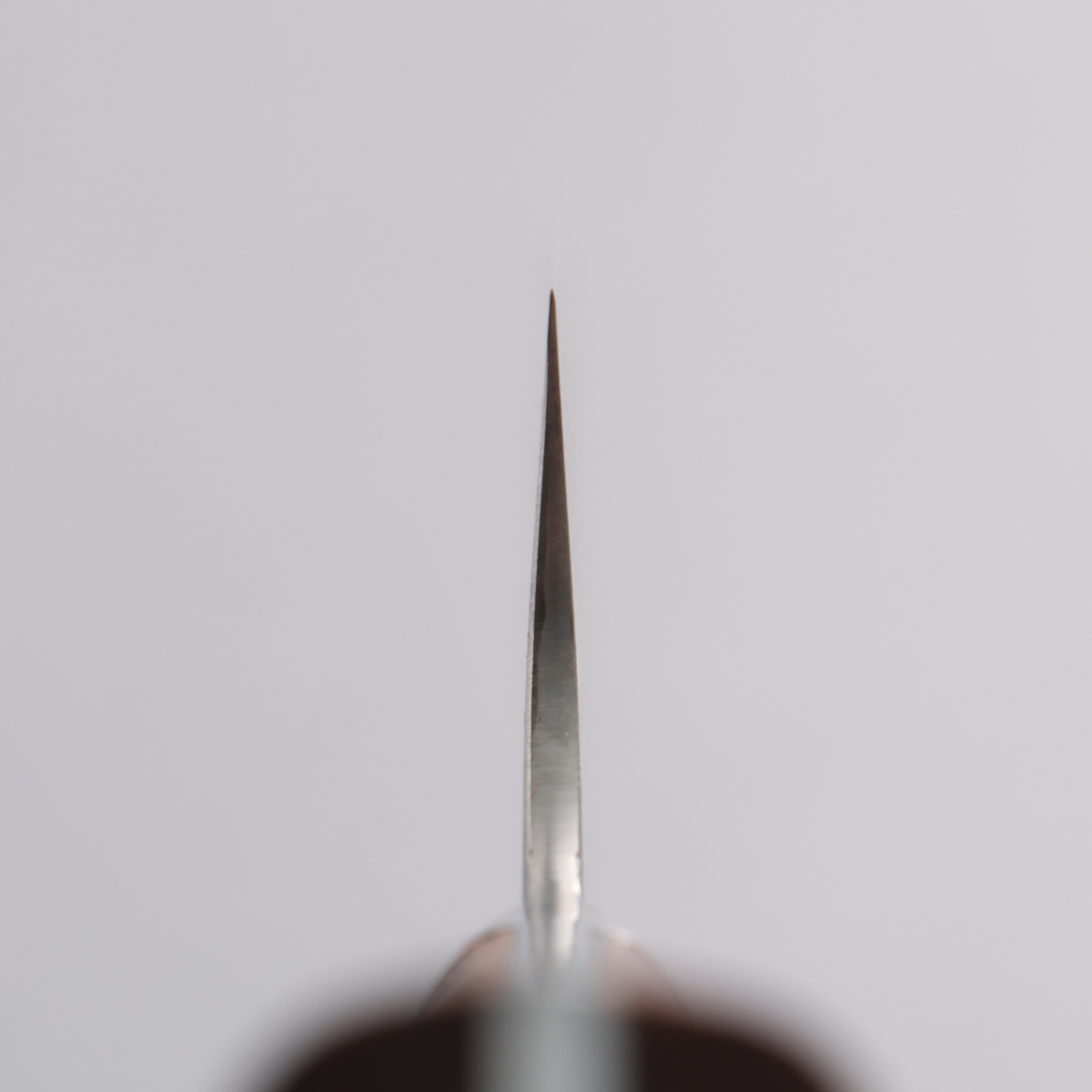 Takeshi Saji SG2 Black Damascus Gyuto  210mm Ironwood(New Nomura Style) Handle - Seisuke Knife