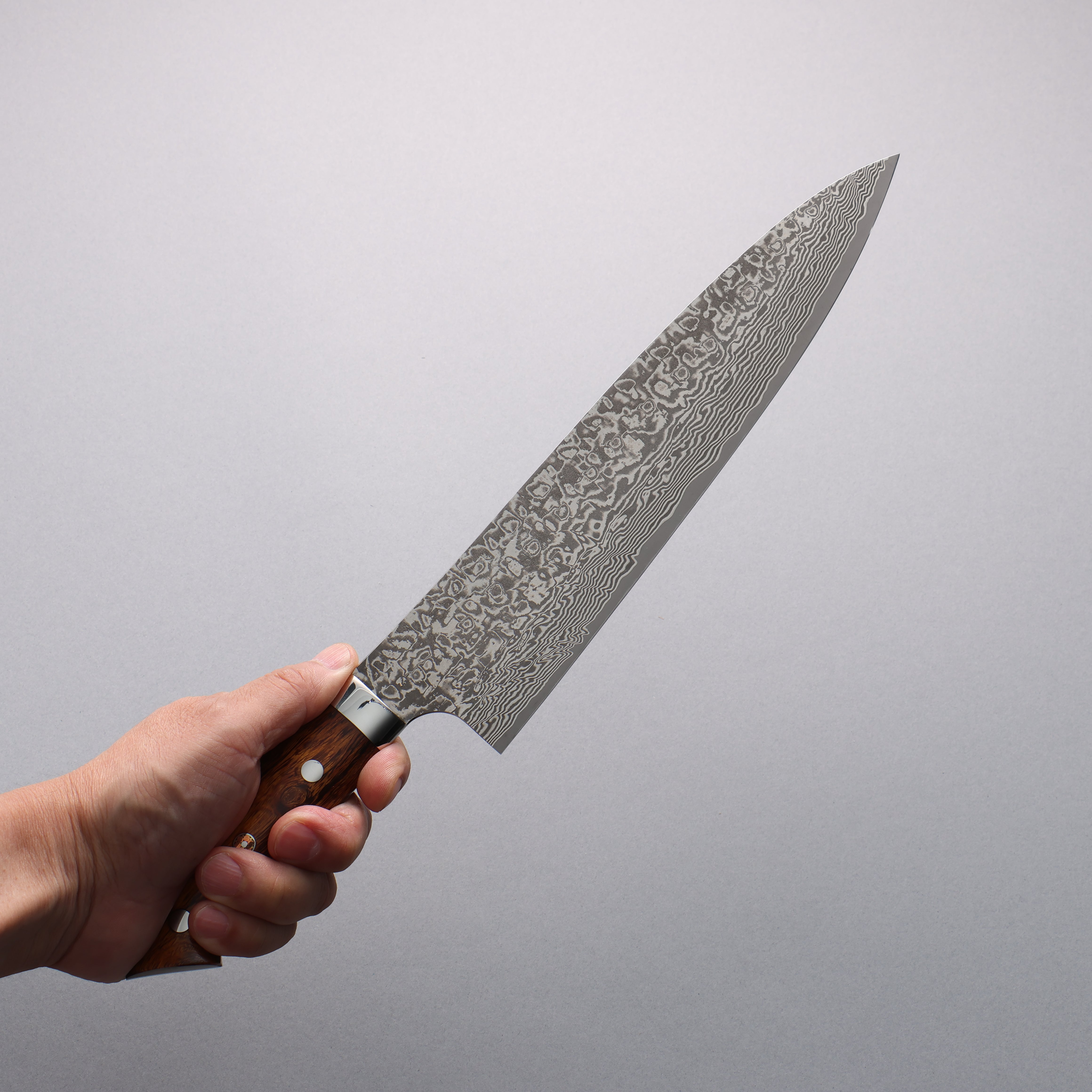 Takeshi Saji SG2 Black Damascus Gyuto  240mm Ironwood(New Nomura Style) Handle - Seisuke Knife