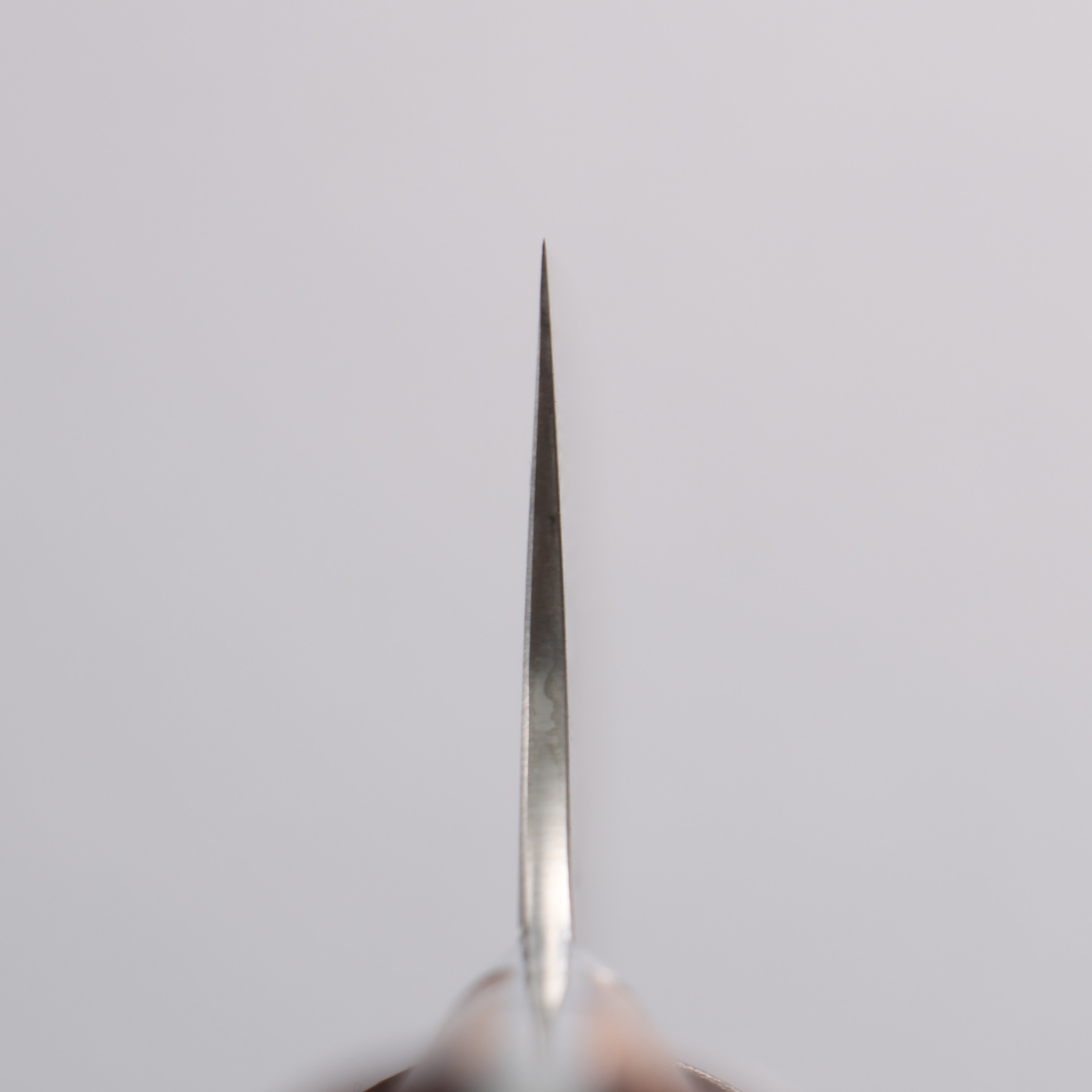 Takeshi Saji SG2 Black Damascus Gyuto  240mm Ironwood(New Nomura Style) Handle - Seisuke Knife