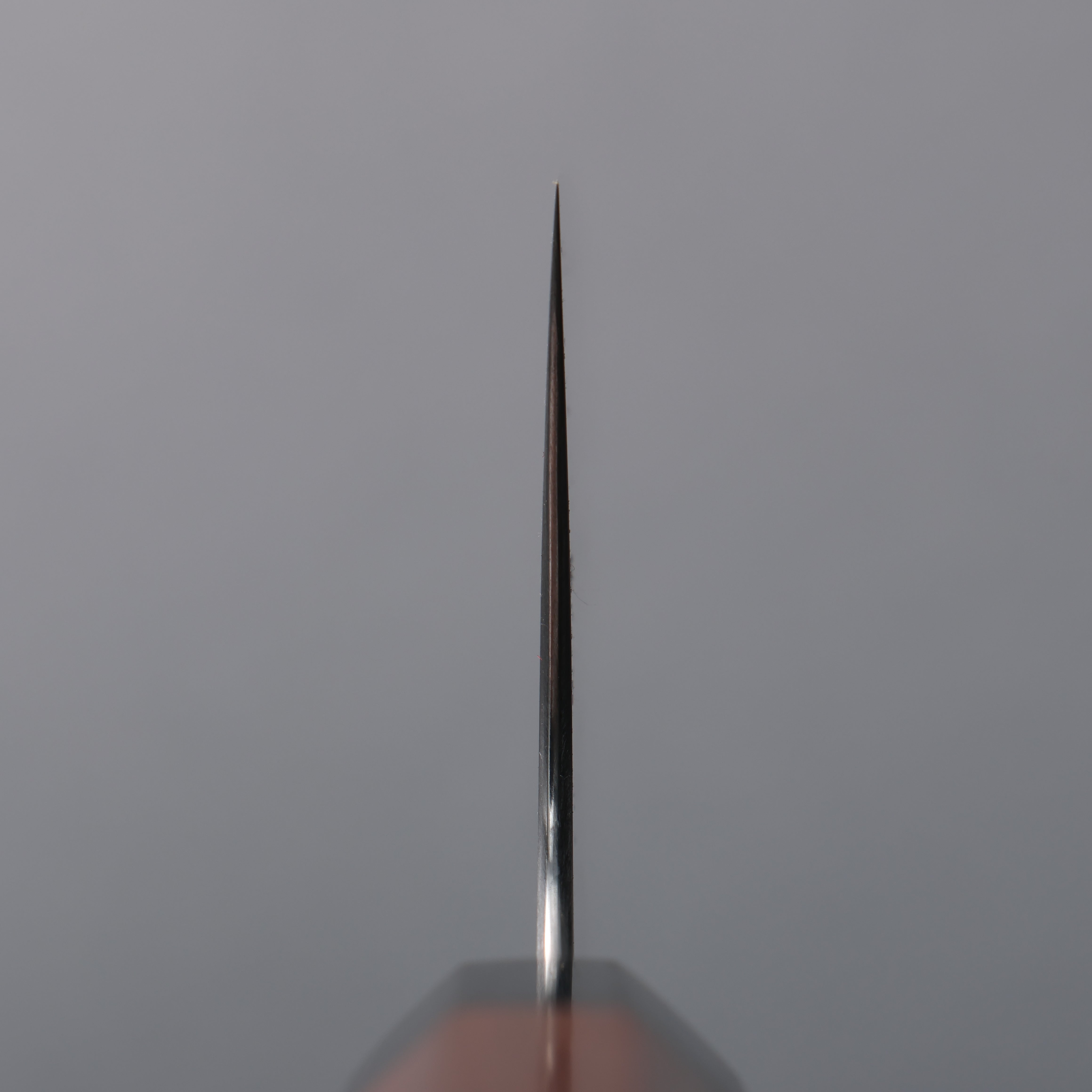 Shibata Takayuki Koutetsu Blue Super Nakiri  165mm Jarrah Handle - Seisuke Knife