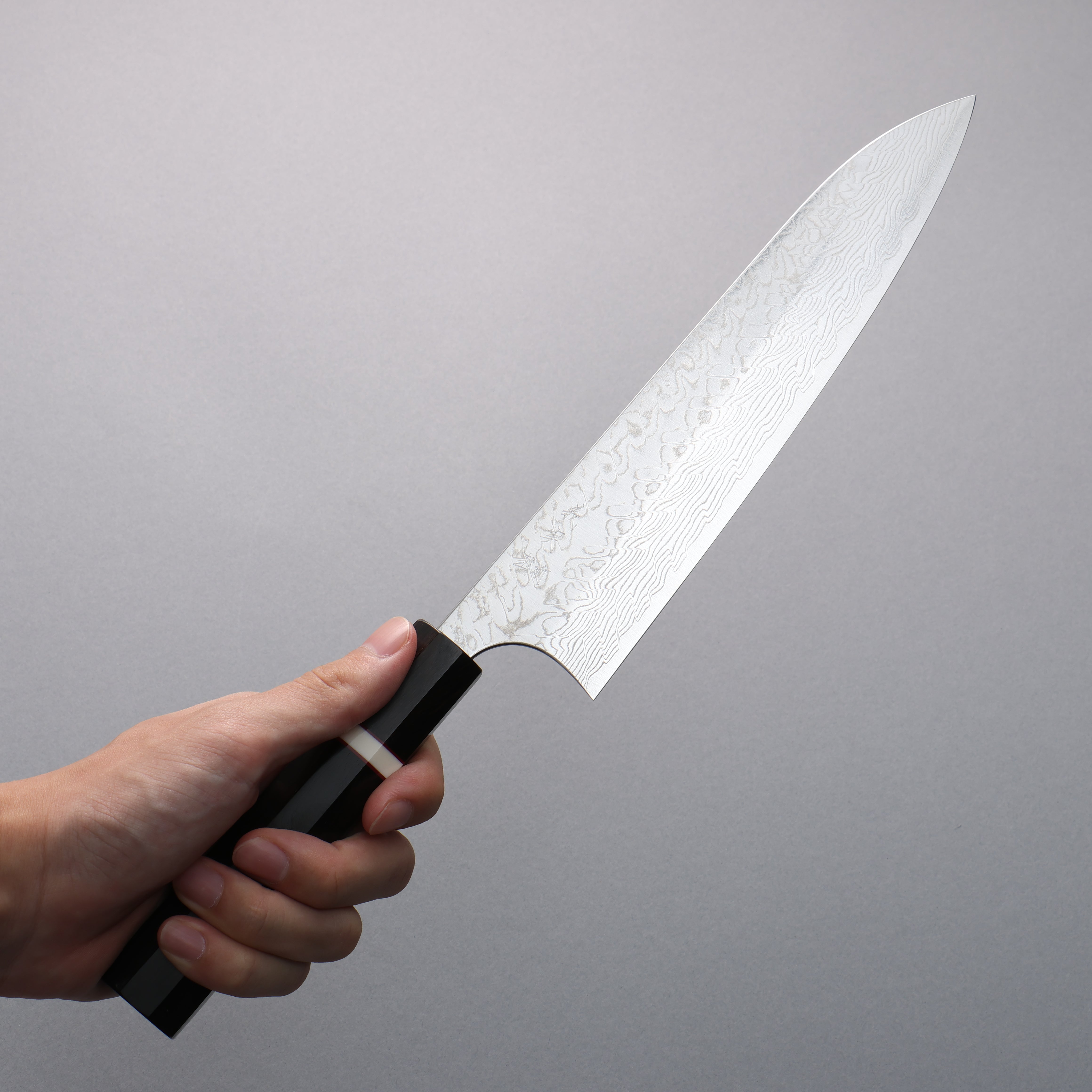 Yoshimi Kato SG2 Damascus Migaki Gyuto 210mm Ebony Wood & White Ring Handle - Seisuke Knife