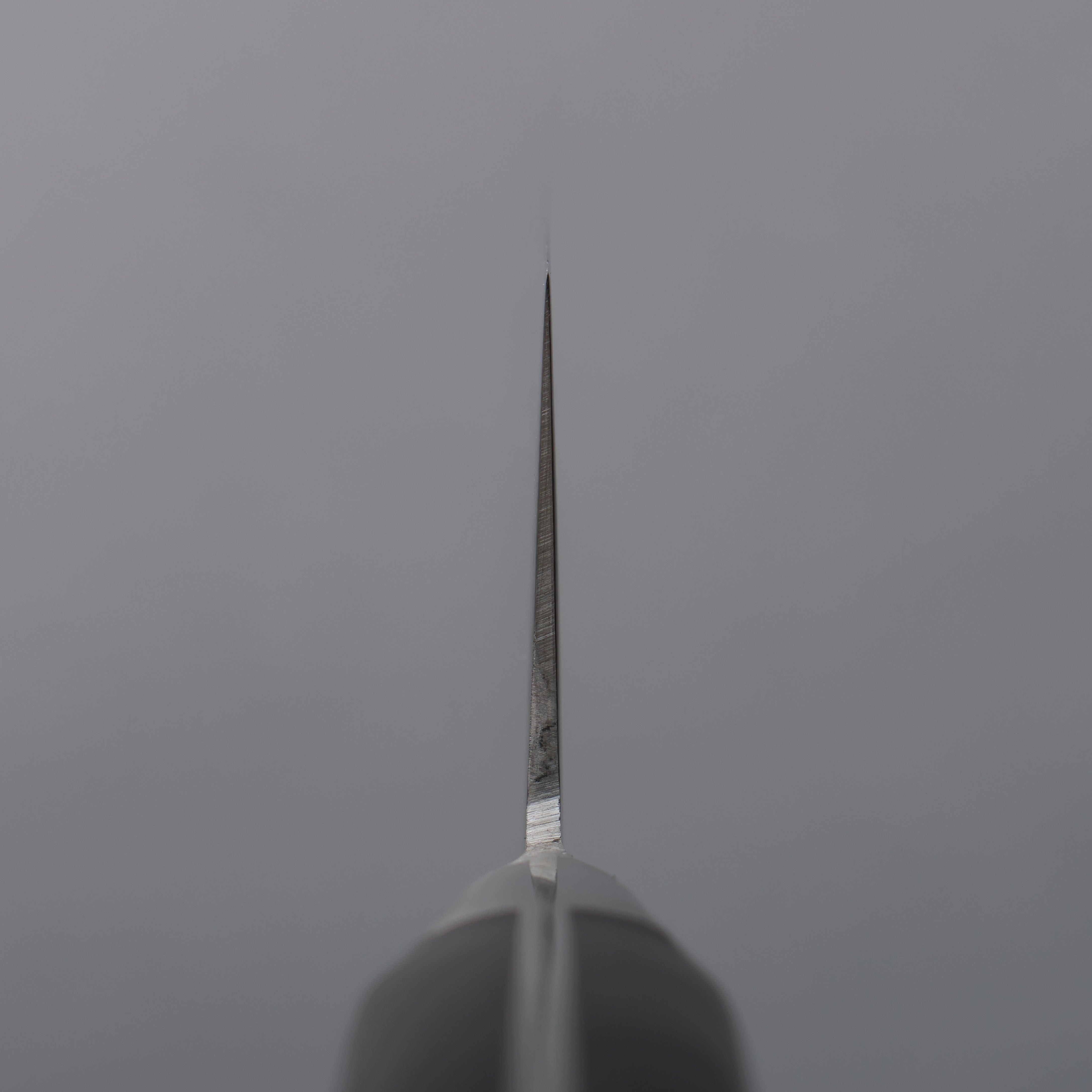 Tojiro Fujitora DP Cobalt Alloy Steel Nakiri 165mm - Seisuke Knife