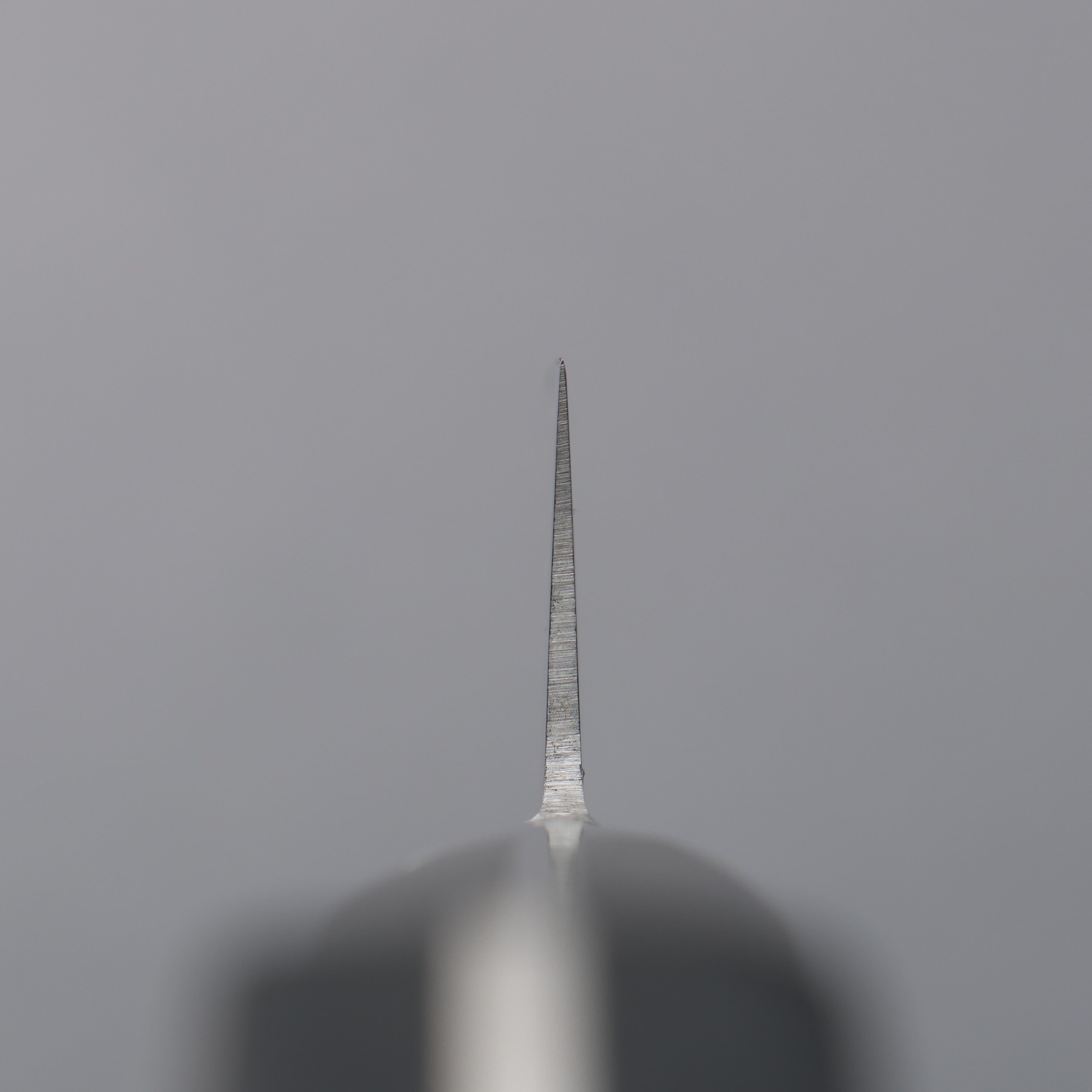 Tojiro Fujitora DP Sujihiki Slicer 240mm - Seisuke Knife