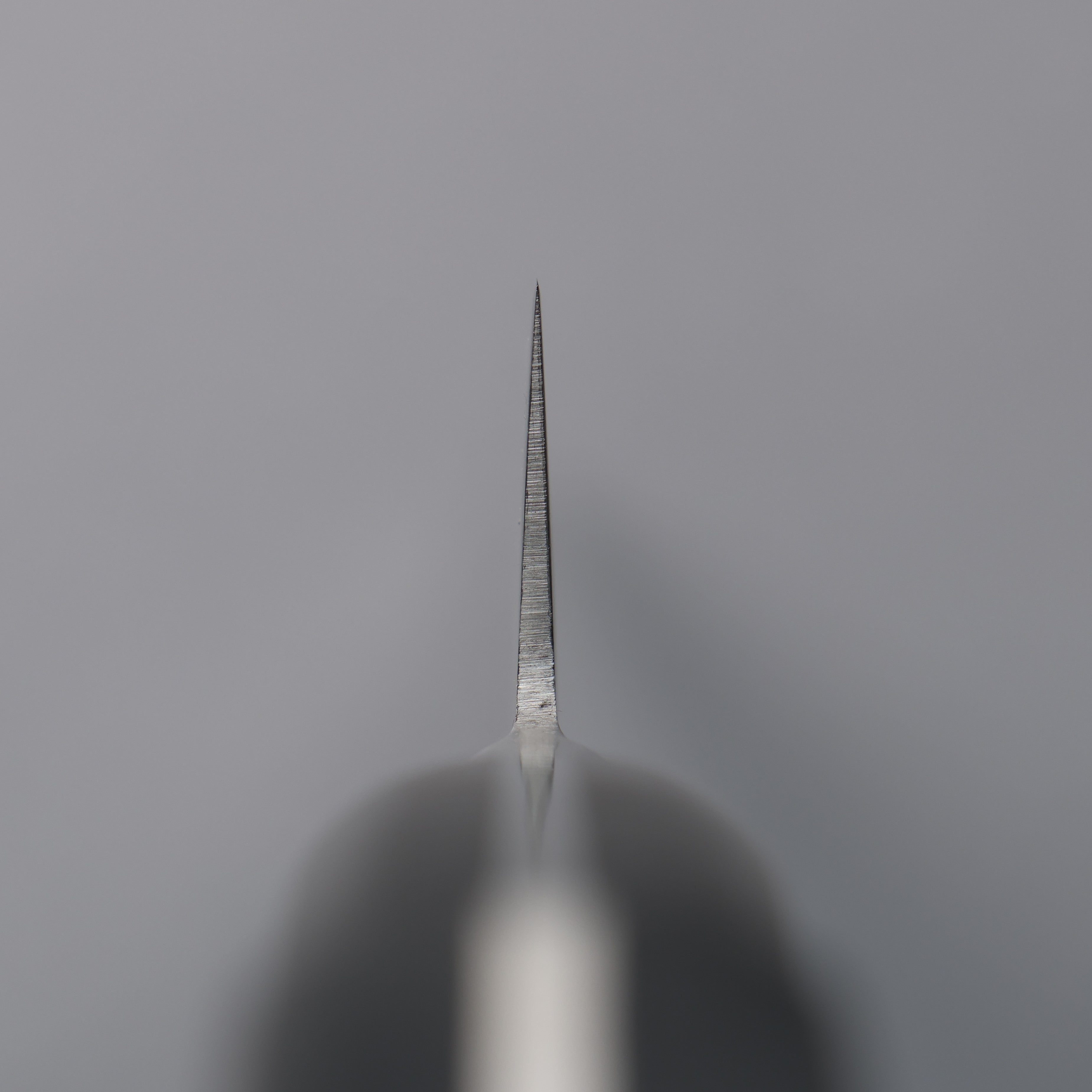 Tojiro Fujitora DP VG10 Sujihiki 270mm