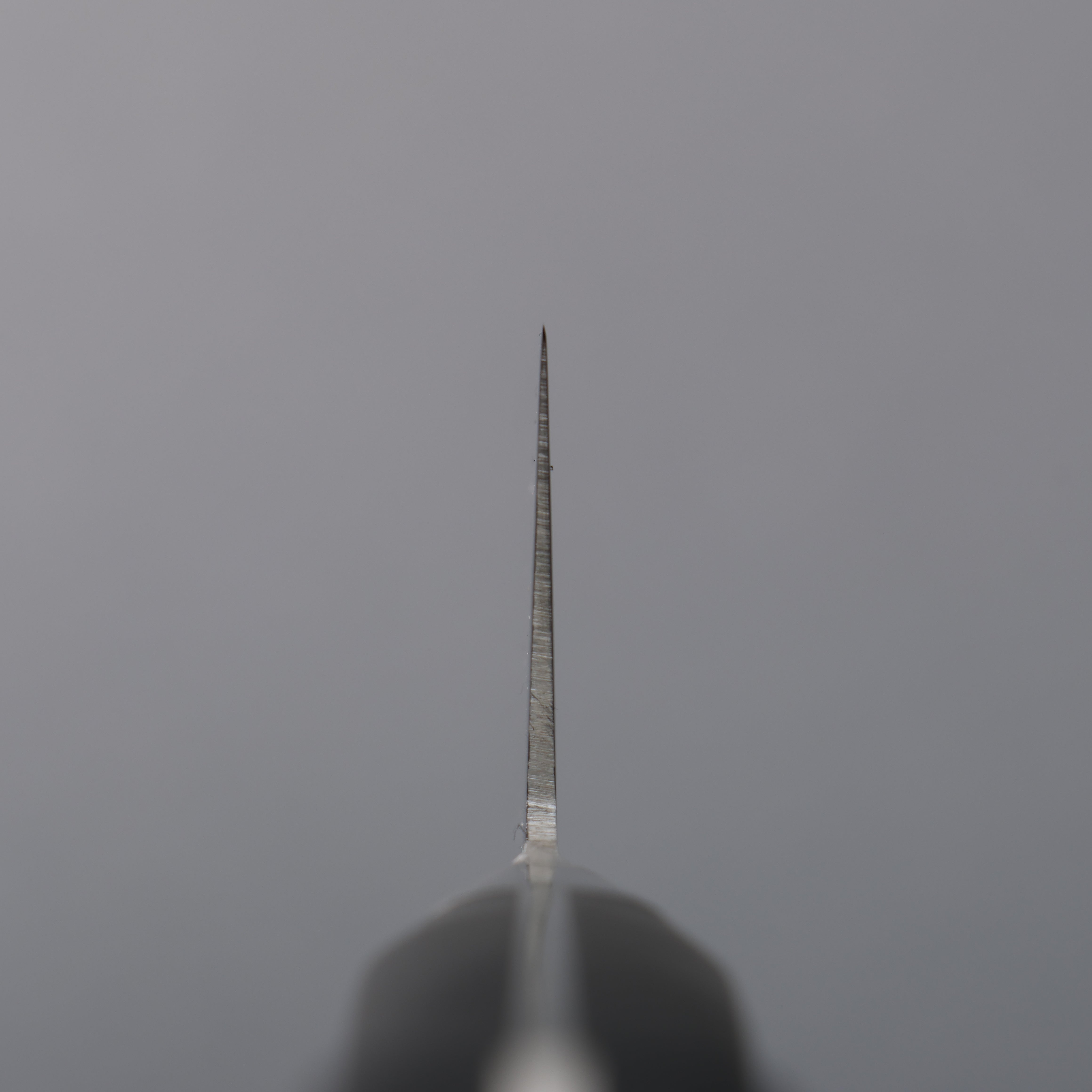 Tojiro Fujitora DP Cobalt Alloy Steel Gyuto 180mm - Seisuke Knife