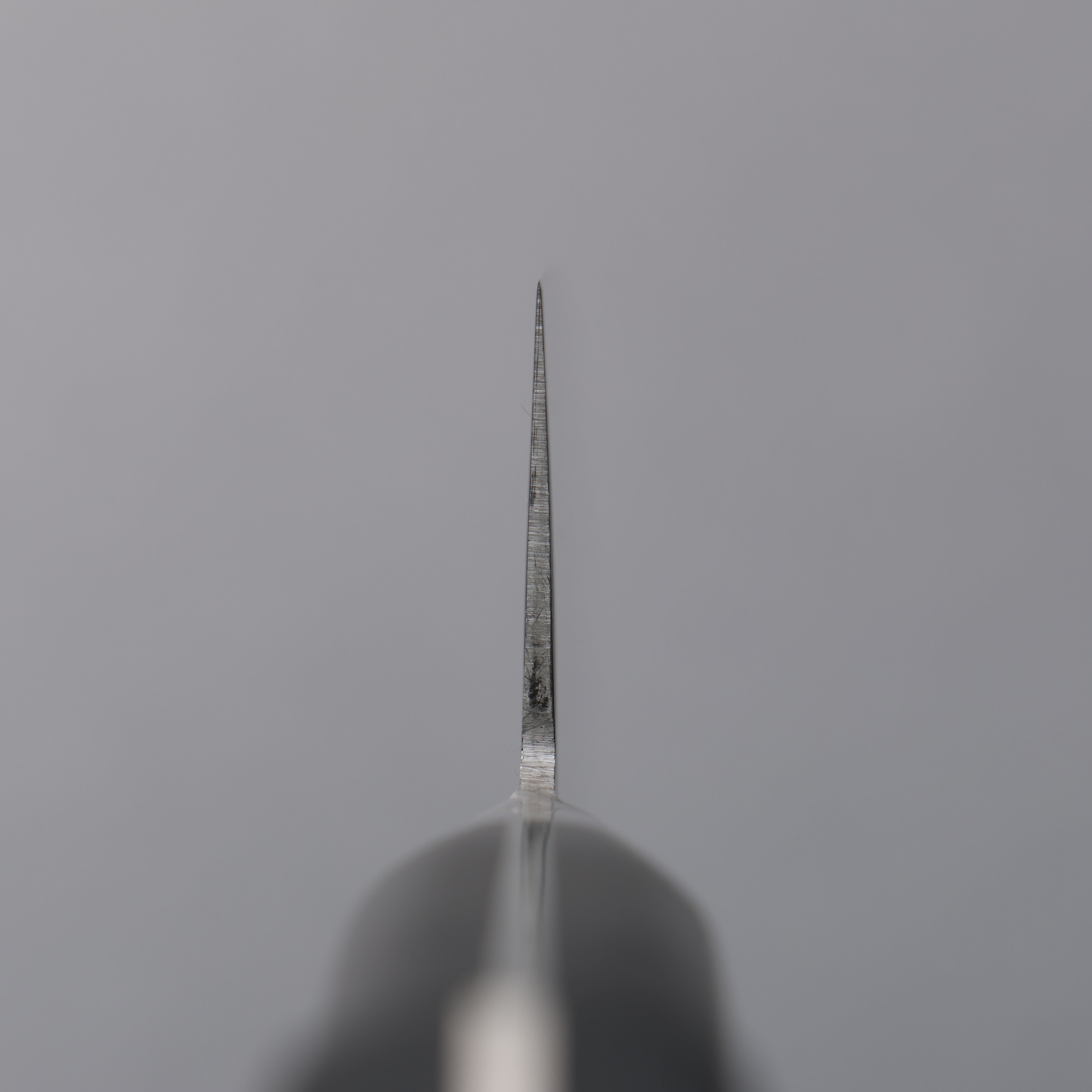 Tojiro Fujitora DP Cobalt Alloy Steel Gyuto 210mm - Seisuke Knife