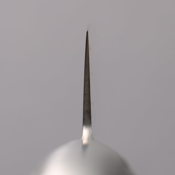 Sakai Takayuki INOX PRO Molybdenum Sujihiki 240mm - Seisuke Knife