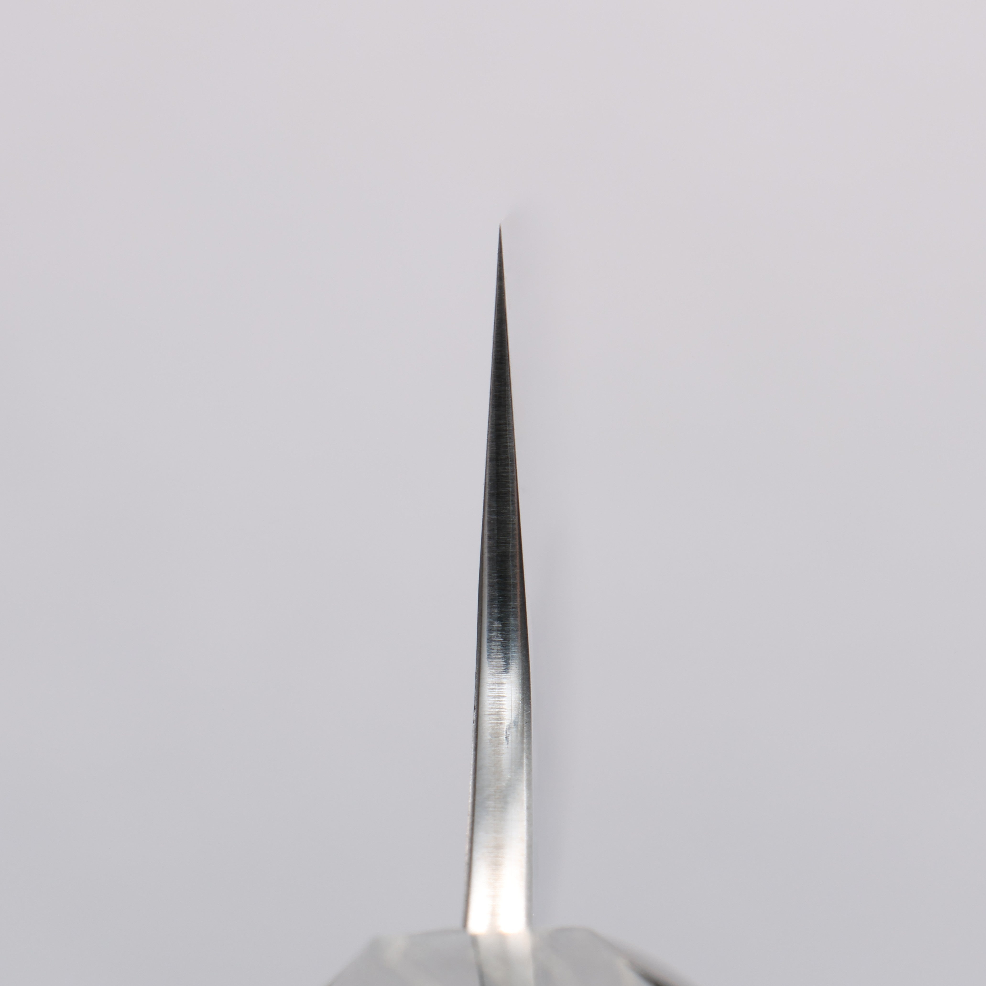 Yu Kurosaki Fujin SG2 Hammered Gyuto 210mm Stabilized Wood & Acrylic Ring Handle - Seisuke Knife