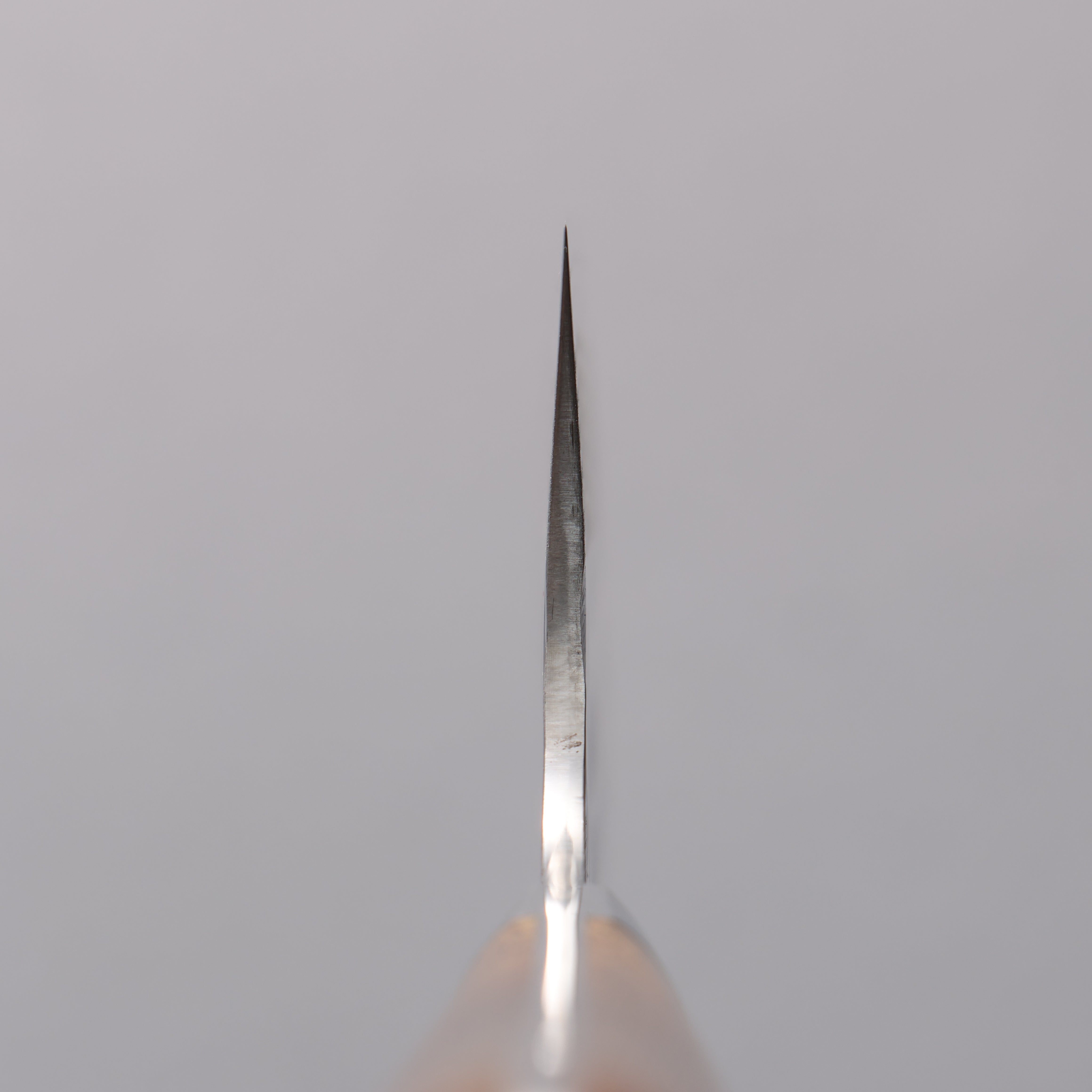 Takeshi Saji SRS13 Damascus Hammered(Maru) Santoku  180mm Ironwood Handle - Seisuke Knife